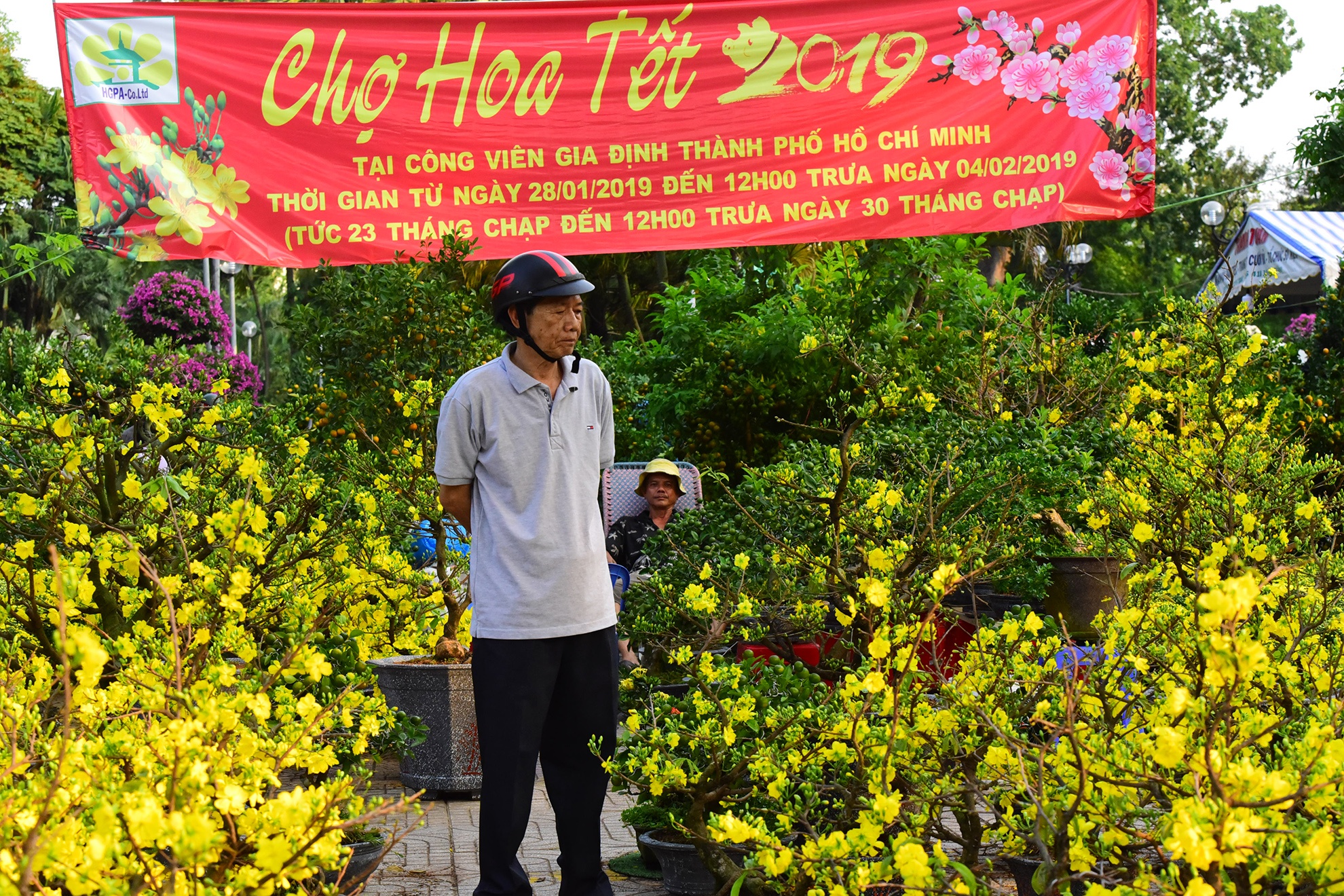 Canh doi lap o cho hoa Tet lon nhat Sai Gon anh 4