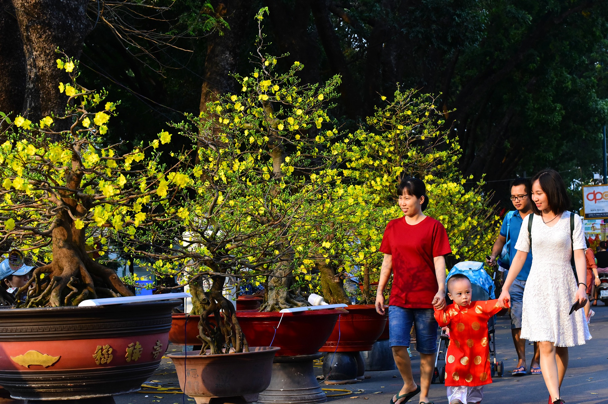 Canh doi lap o cho hoa Tet lon nhat Sai Gon anh 5