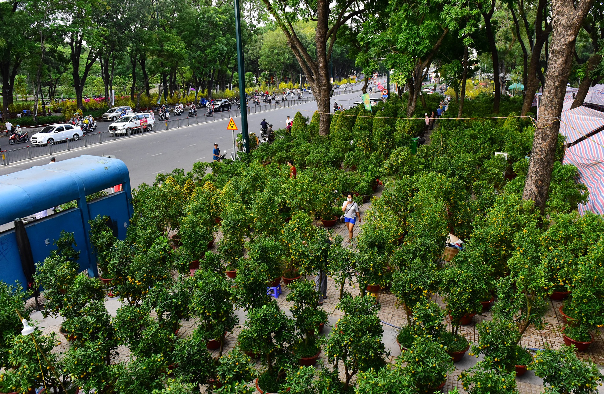 Canh doi lap o cho hoa Tet lon nhat Sai Gon anh 6