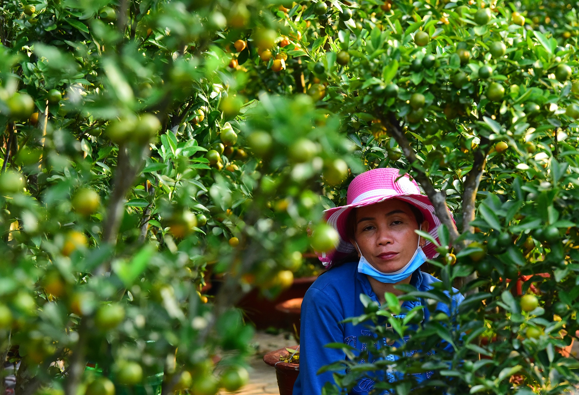 Canh doi lap o cho hoa Tet lon nhat Sai Gon anh 7