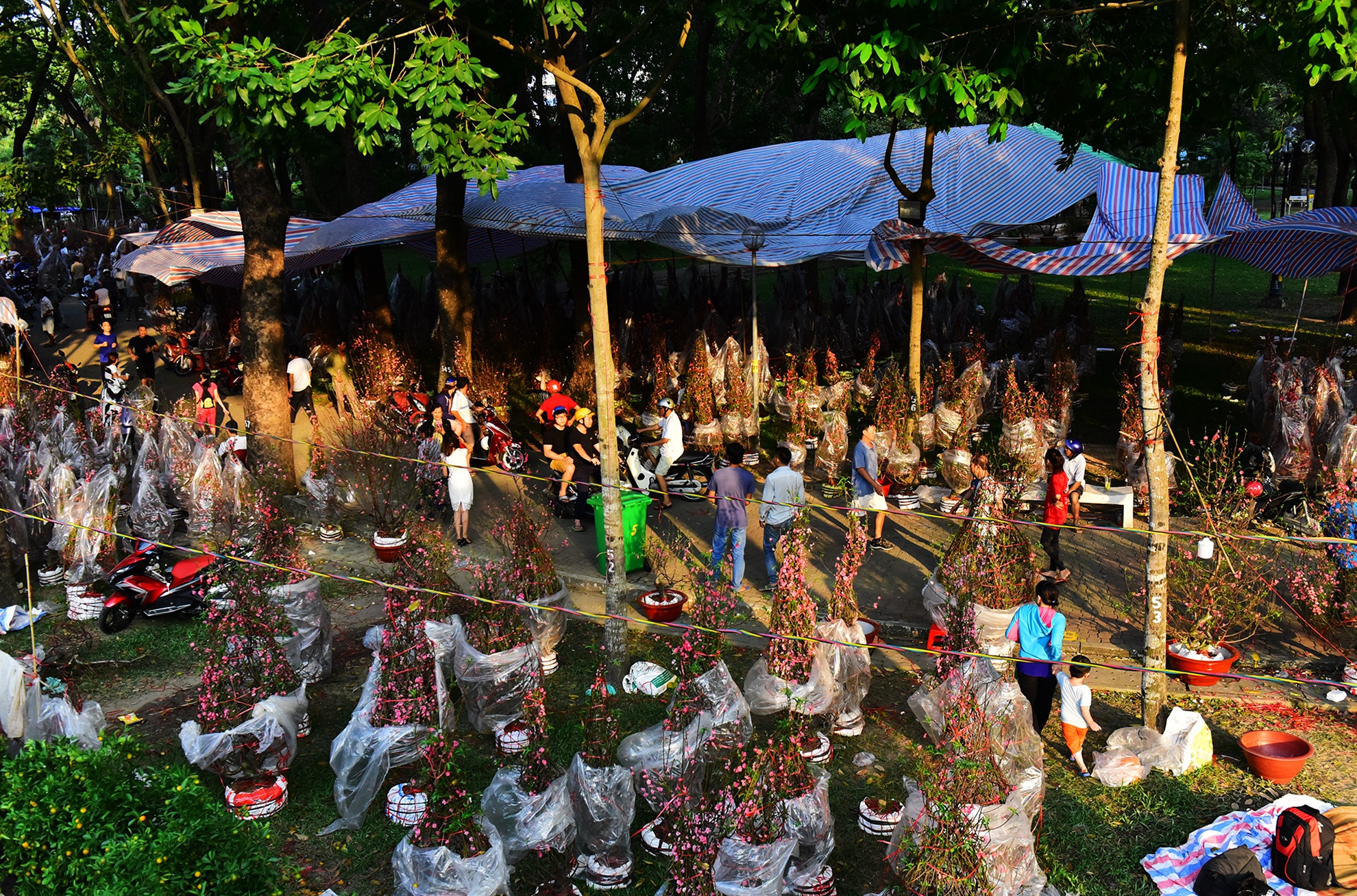 Canh doi lap o cho hoa Tet lon nhat Sai Gon anh 8