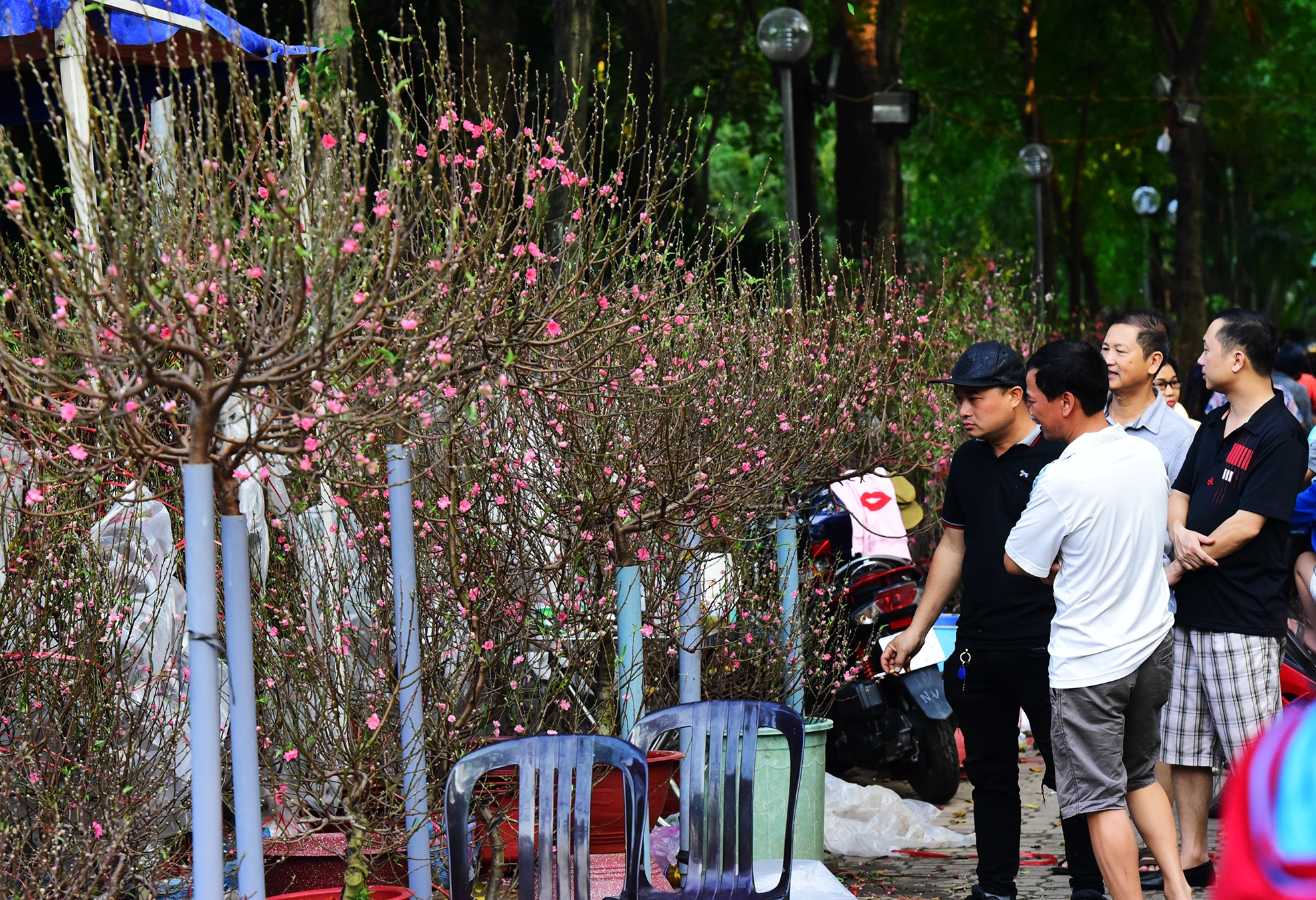 Canh doi lap o cho hoa Tet lon nhat Sai Gon anh 9