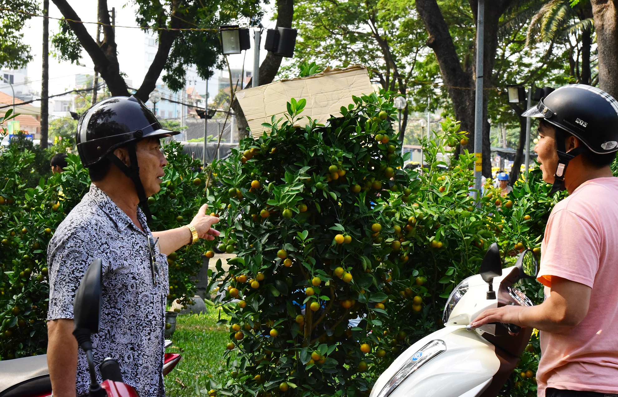 do xo mua hoa Tet giam gia trua 30 Tet o Sai Gon anh 9