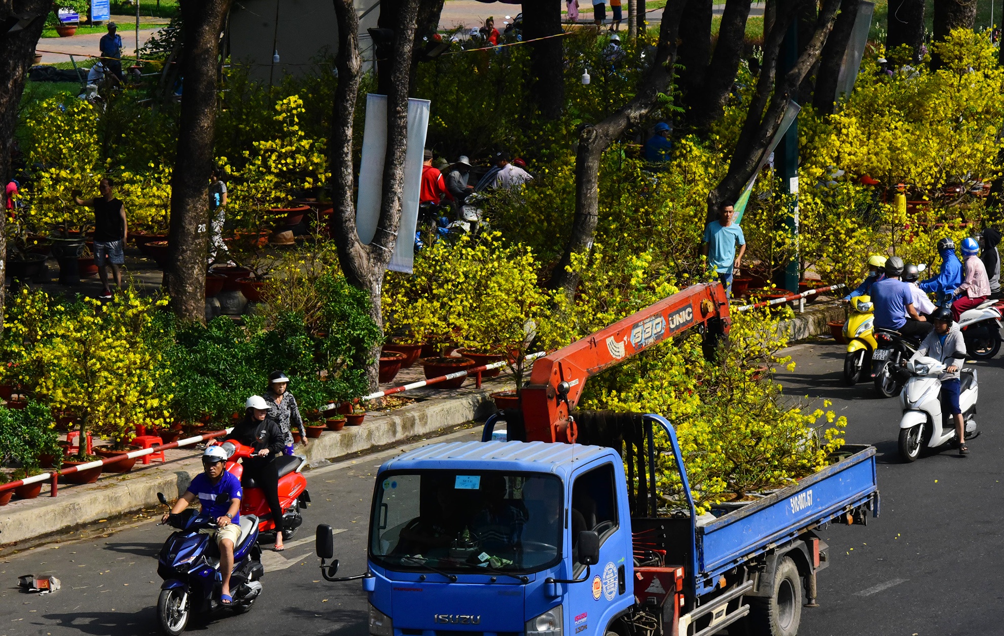 do xo mua hoa Tet giam gia trua 30 Tet o Sai Gon anh 10