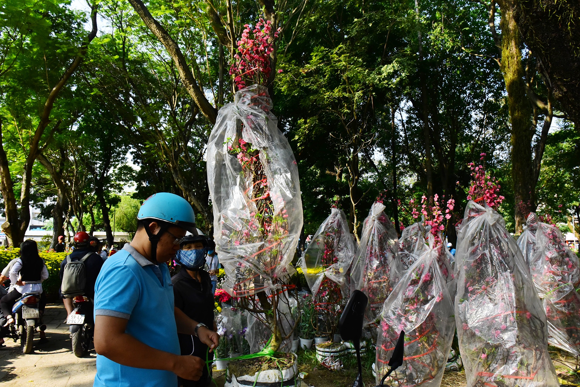 do xo mua hoa Tet giam gia trua 30 Tet o Sai Gon anh 4