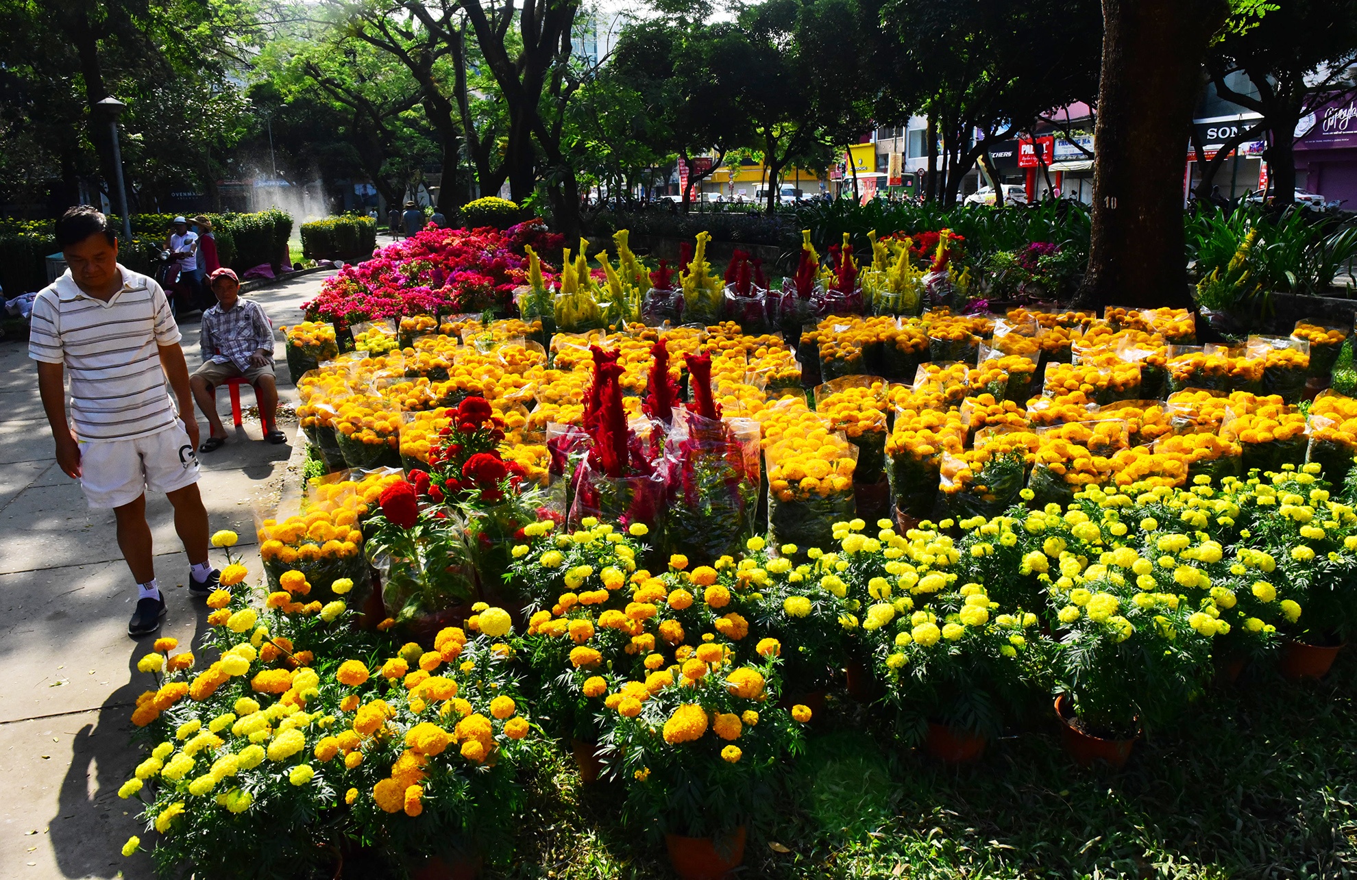 do xo mua hoa Tet giam gia trua 30 Tet o Sai Gon anh 7