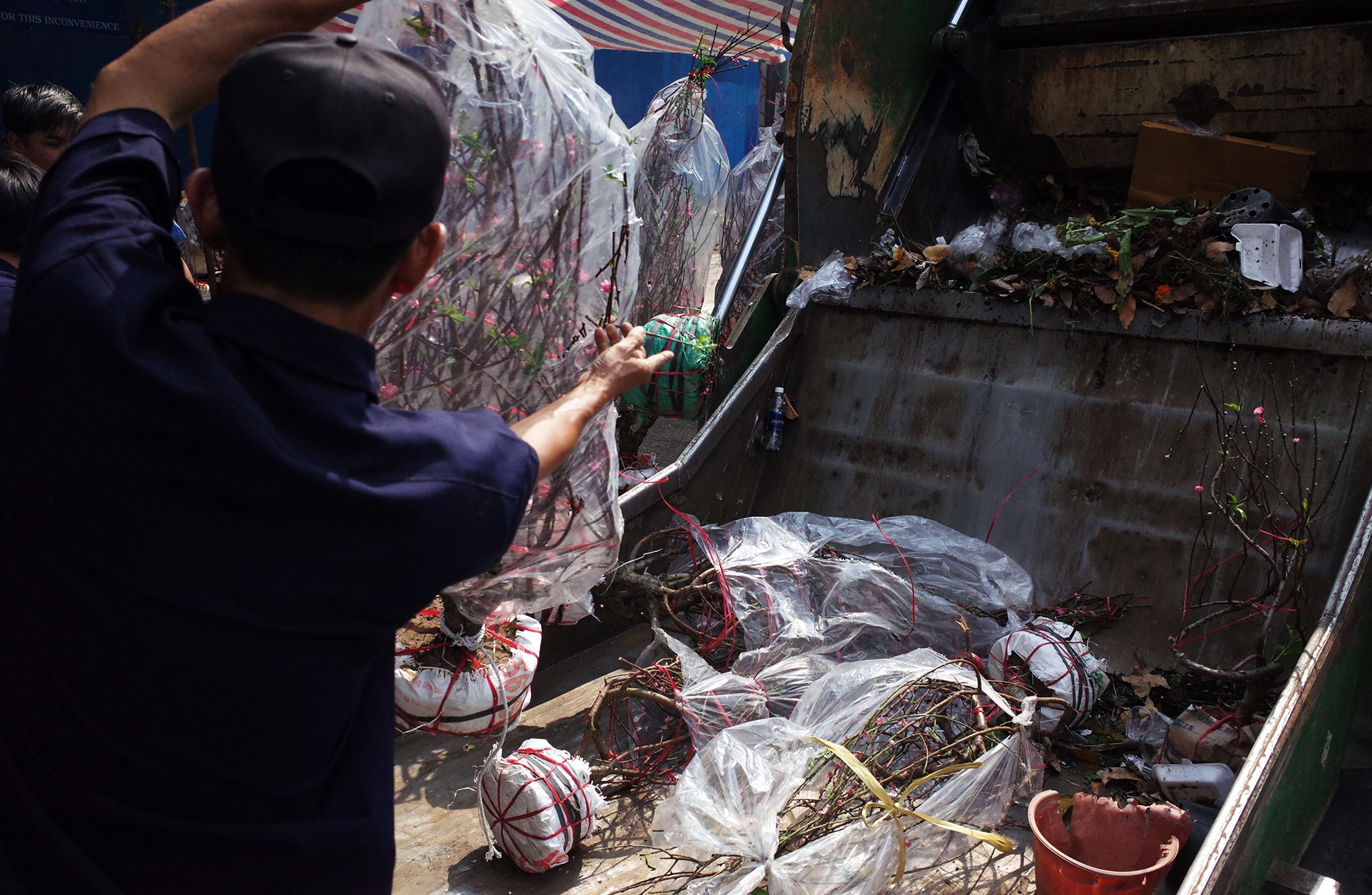 hoa Tet bi vut bo vao xe rac trua 30 Tet o Sai Gon anh 8