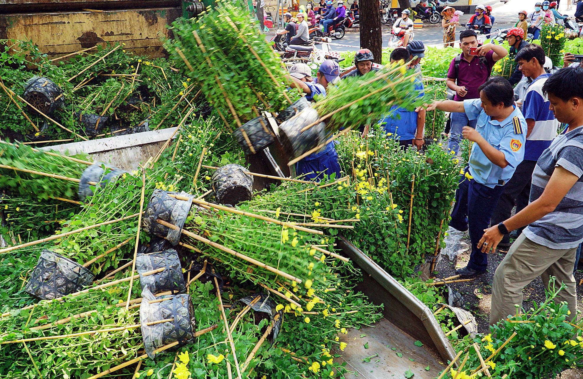 hoa Tet bi vut bo vao xe rac trua 30 Tet o Sai Gon anh 9