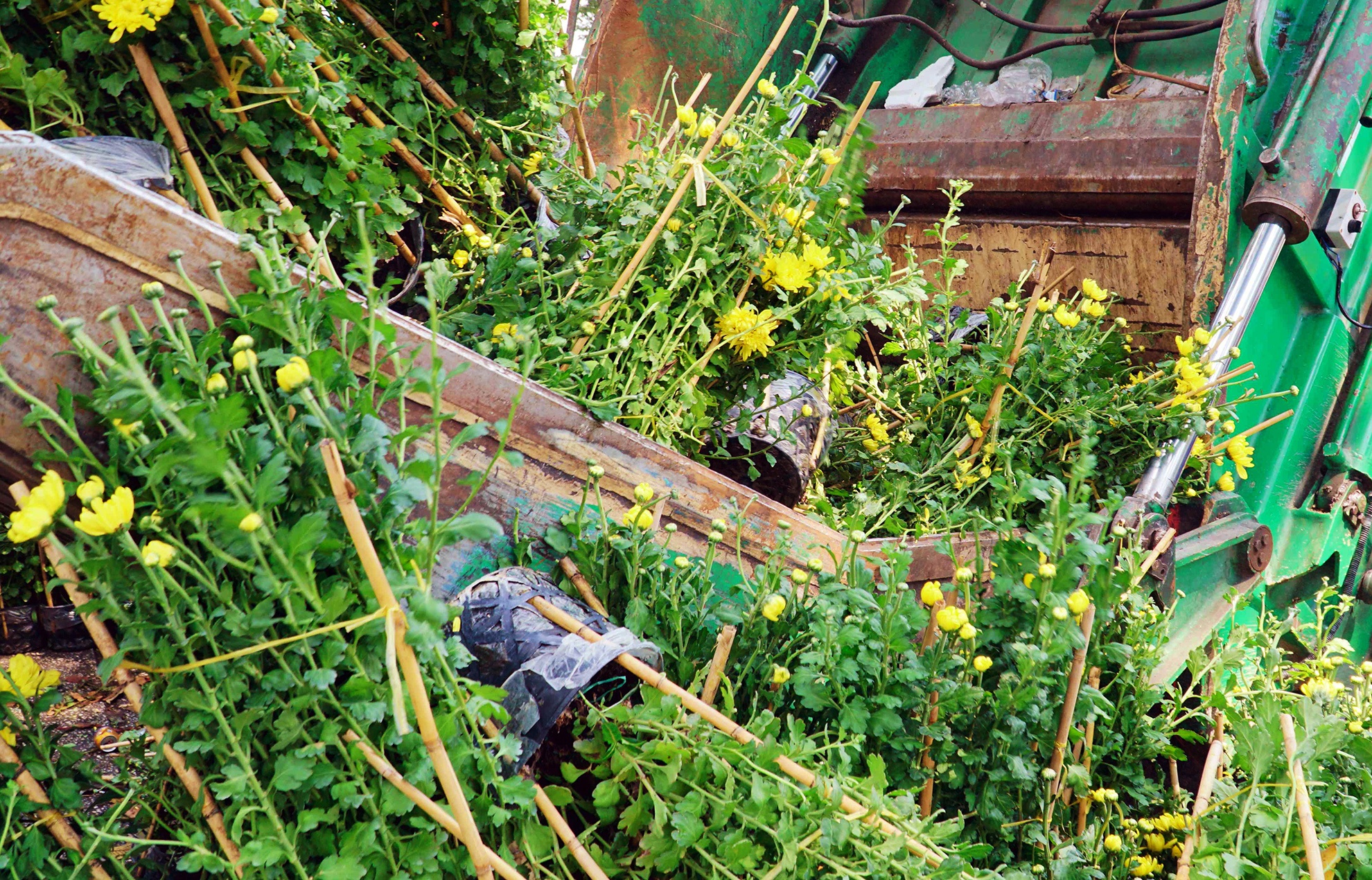 hoa Tet bi vut bo vao xe rac trua 30 Tet o Sai Gon anh 10