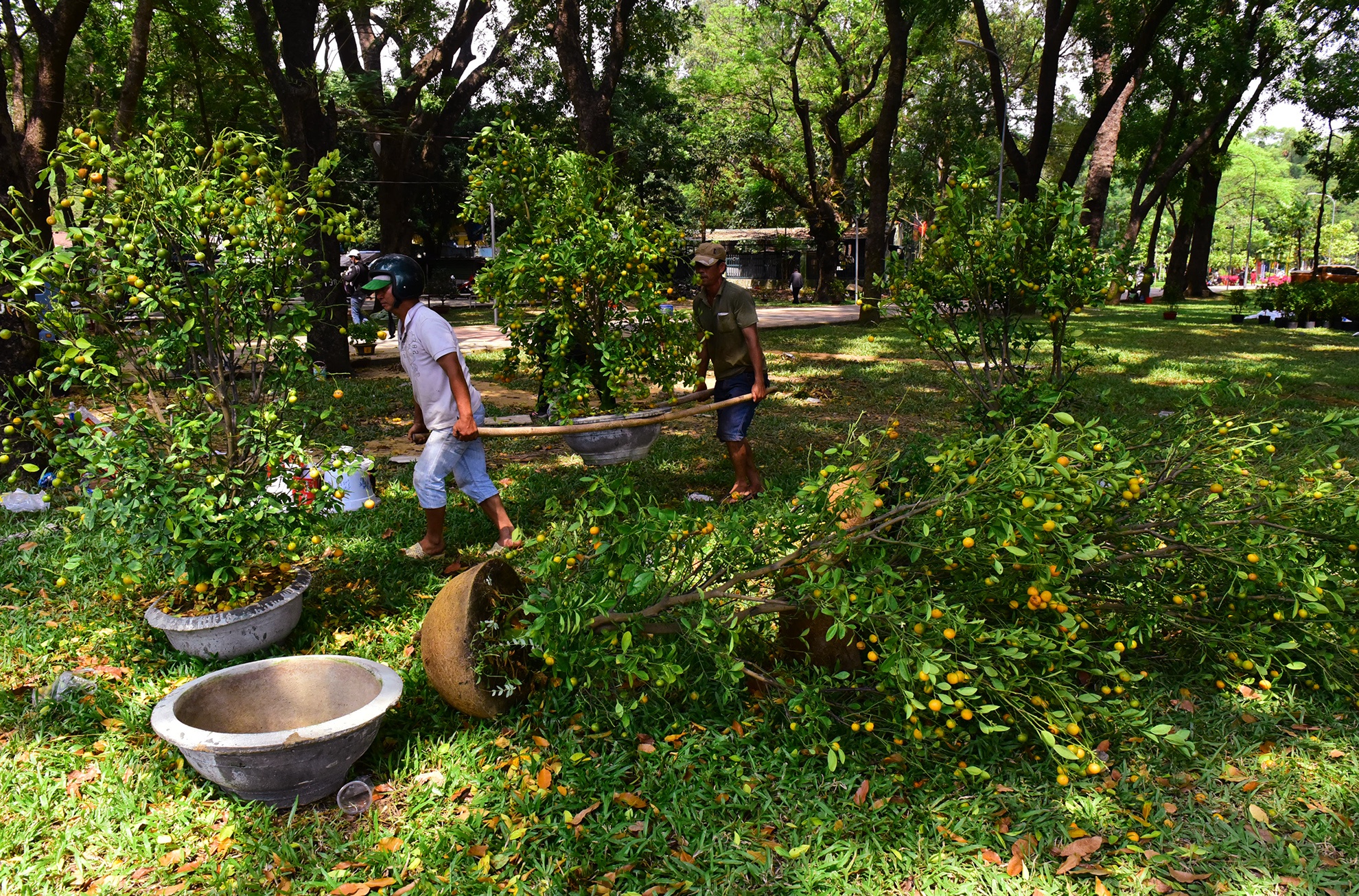 hoa Tet bi vut bo vao xe rac trua 30 Tet o Sai Gon anh 11