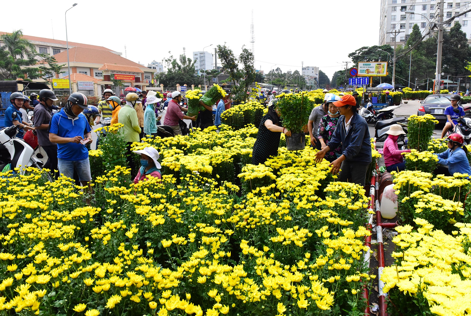 hoa Tet bi vut bo vao xe rac trua 30 Tet o Sai Gon anh 14