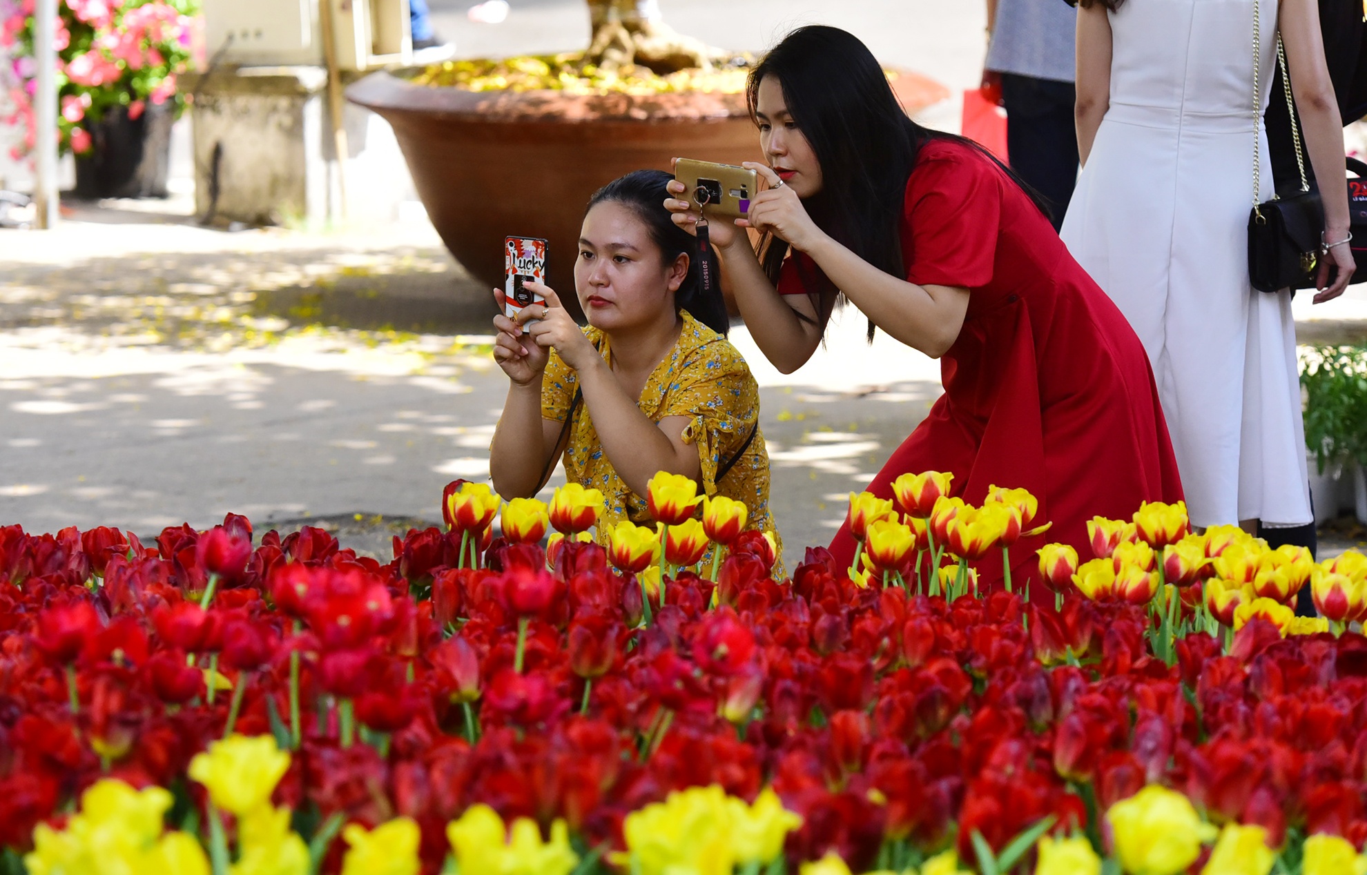 Nguoi Sai Gon doi nang du xuan giua trua ngay Tet anh 22