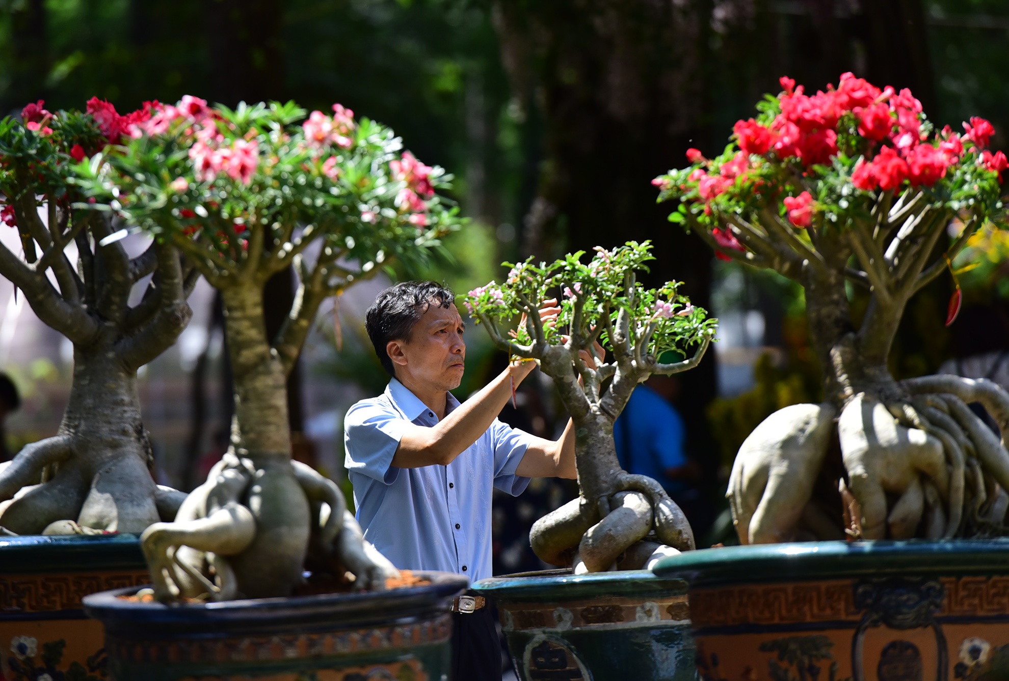 Nguoi Sai Gon doi nang du xuan giua trua ngay Tet anh 23