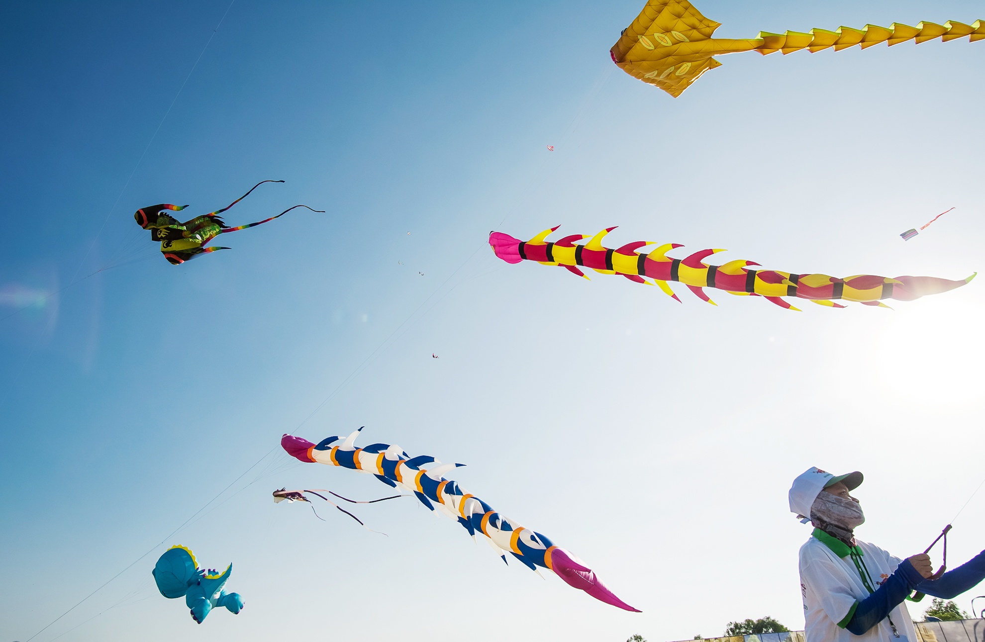 Dieu khong lo tung bay tren bau troi ngay dau xuan anh 6