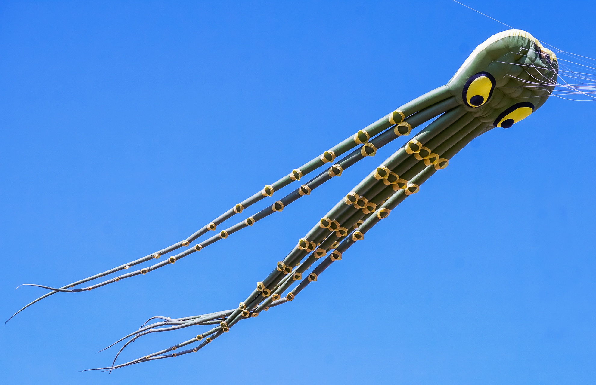 Dieu khong lo tung bay tren bau troi ngay dau xuan anh 8