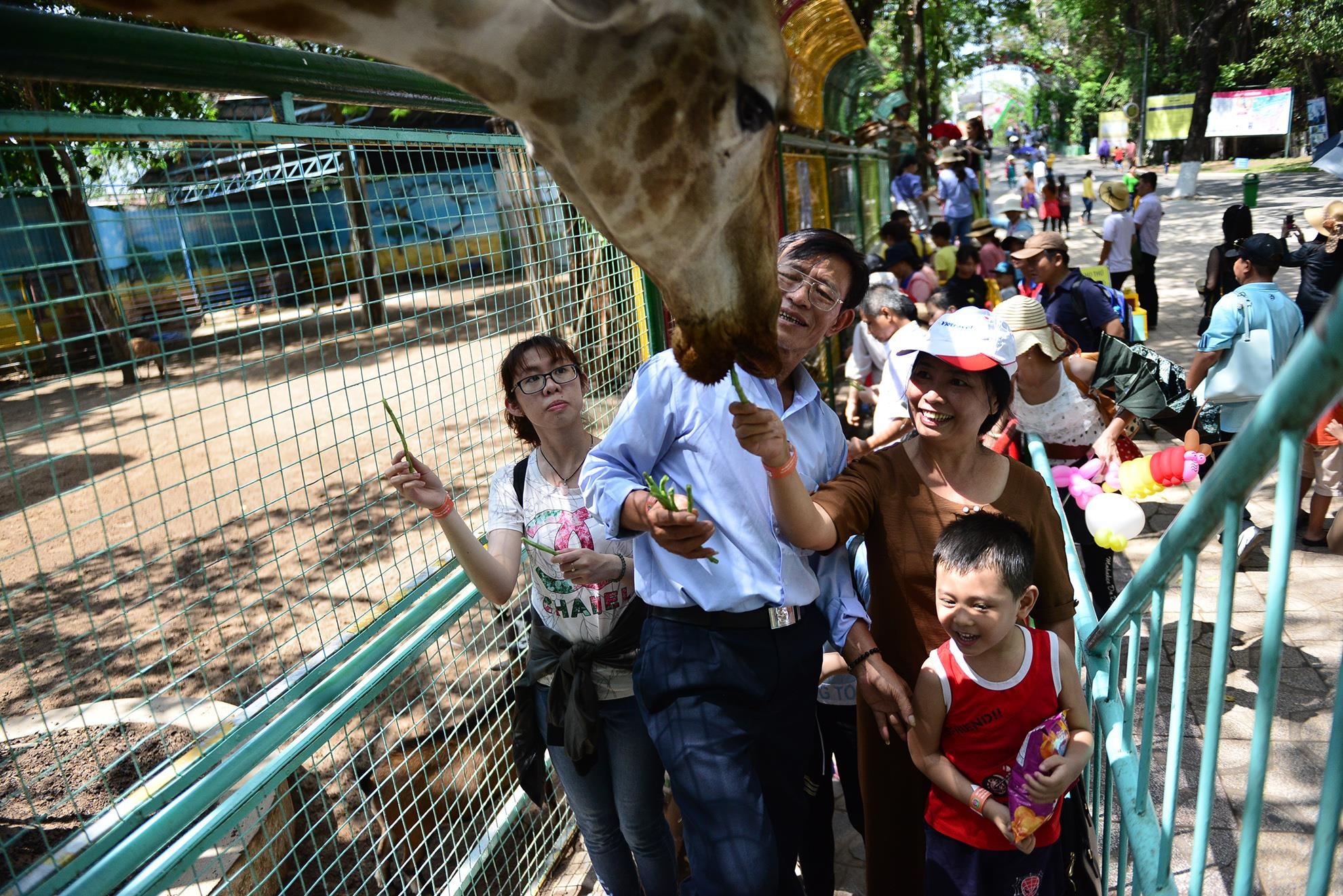 Nguoi Sai Gon vui choi ngay gio To Hung Vuong anh 10