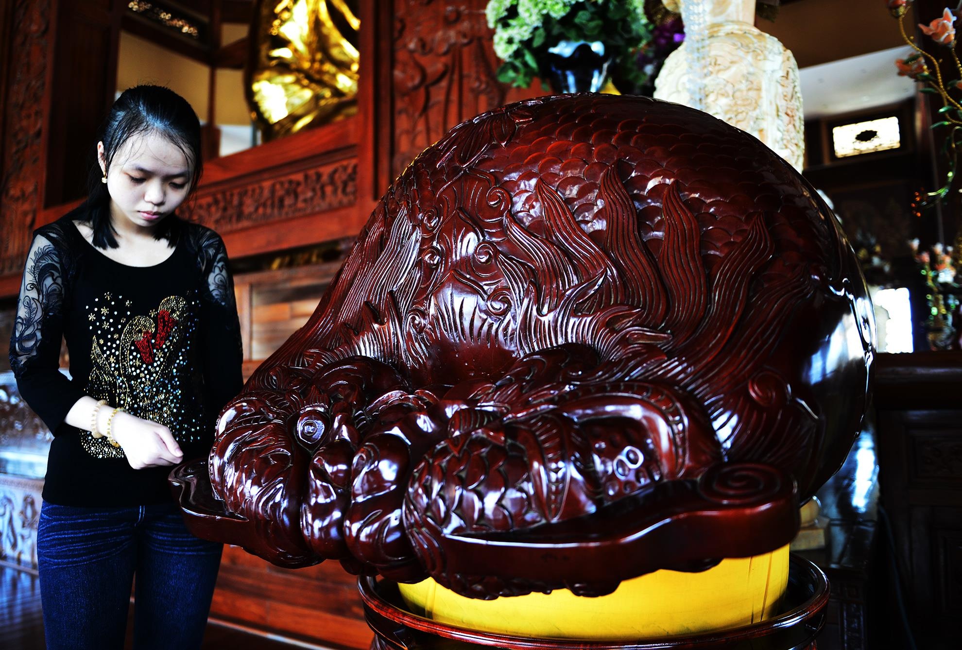 Phap vien o Sai Gon duoc xac lap 4 ky luc Viet Nam anh 13