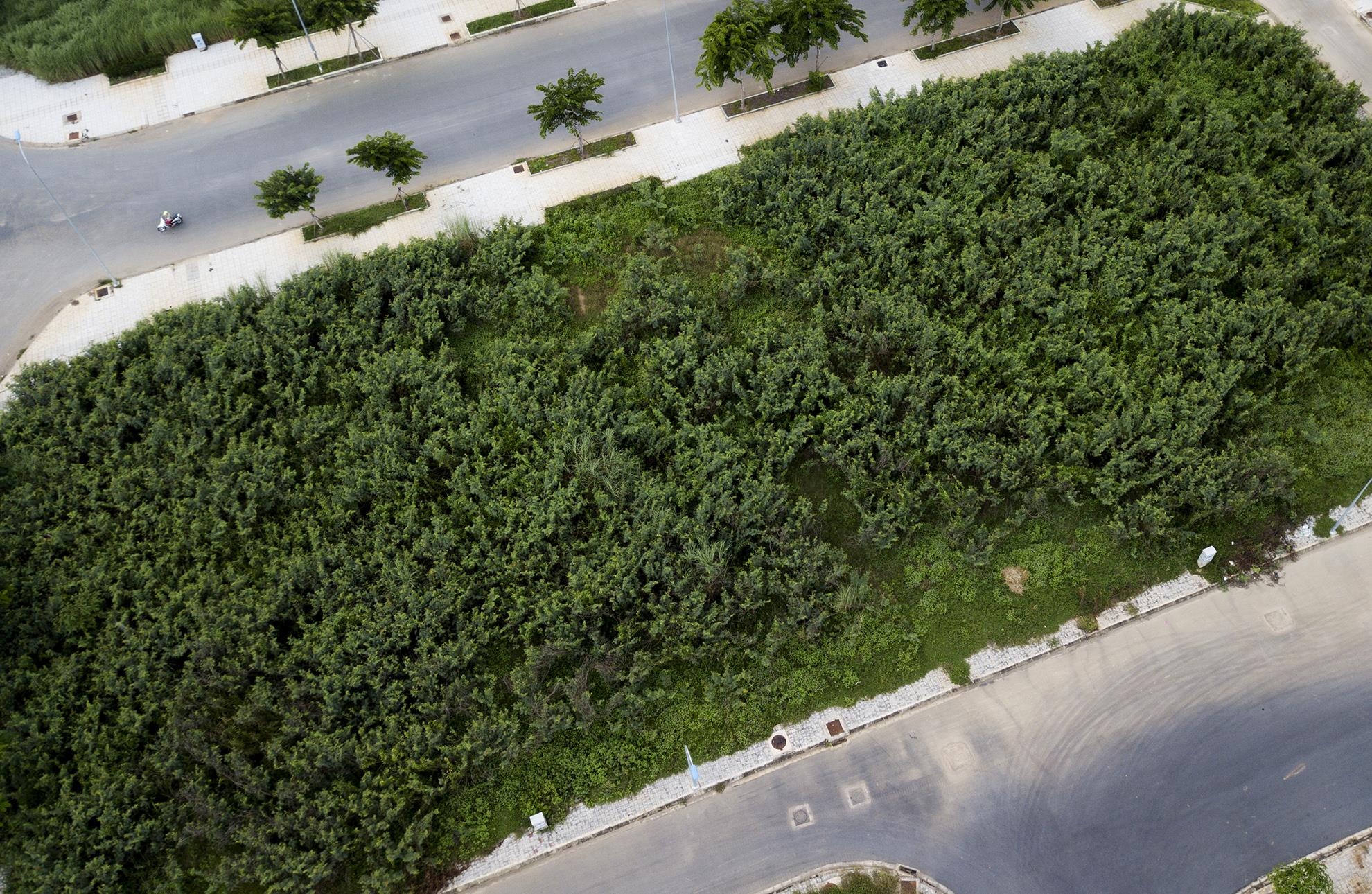 khu do thi hon 10 nam hoang vang o Sai Gon anh 14