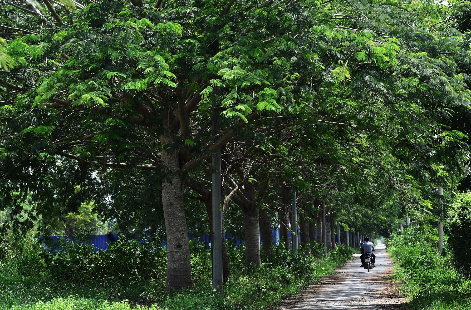 khu do thi hon 10 nam hoang vang o Sai Gon anh 15