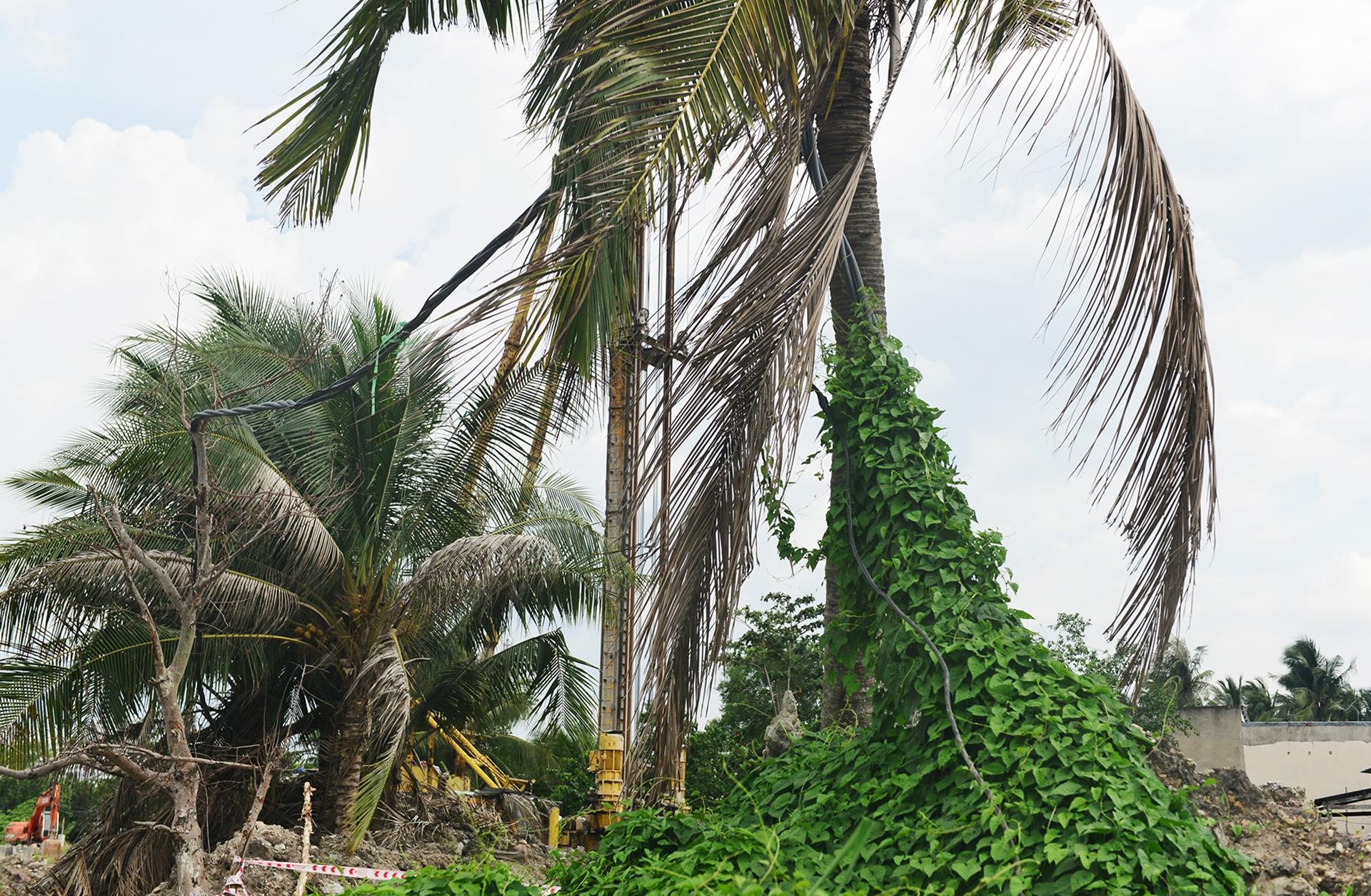 Cong trinh khong rao chan anh 7