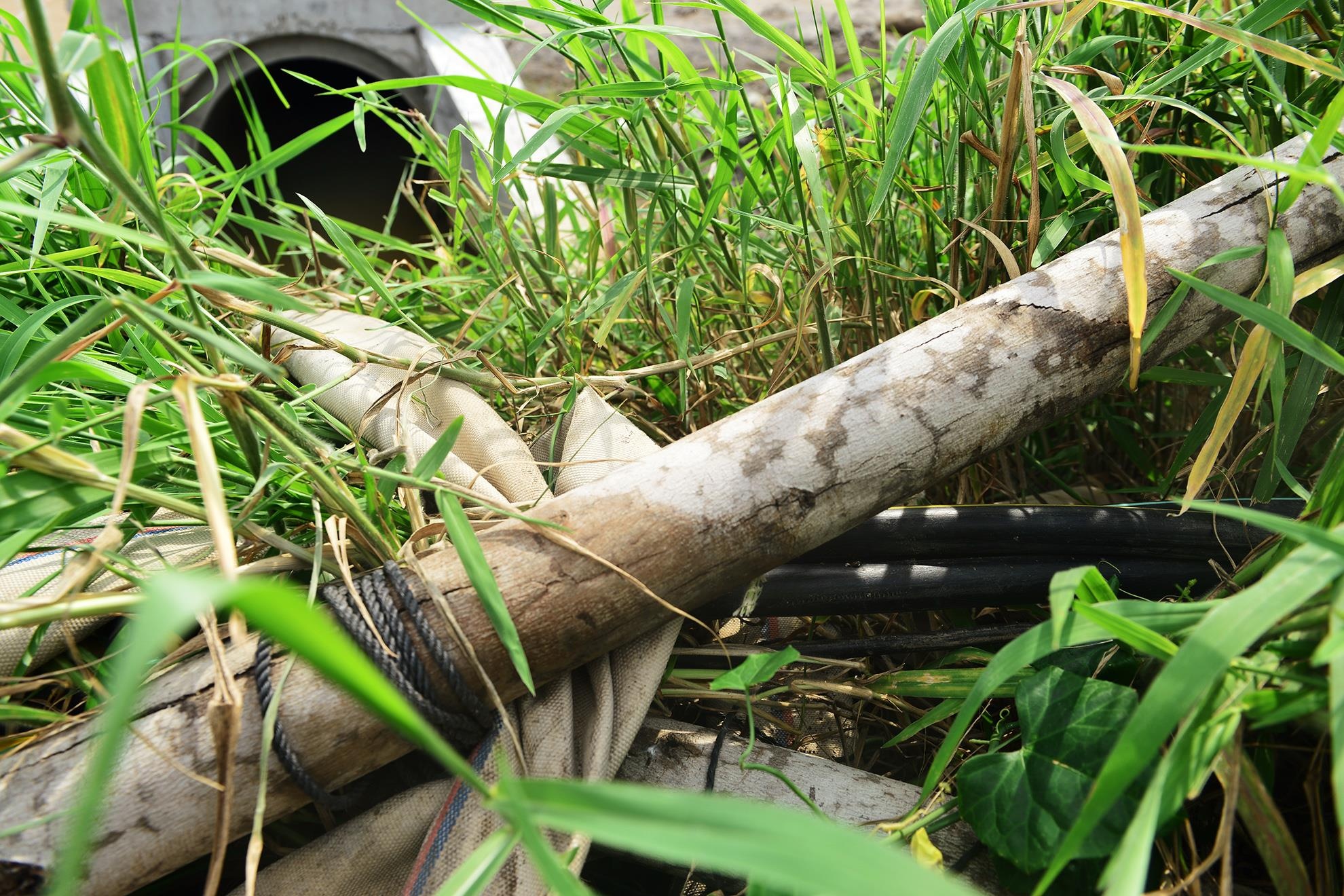 Cong trinh khong rao chan anh 8