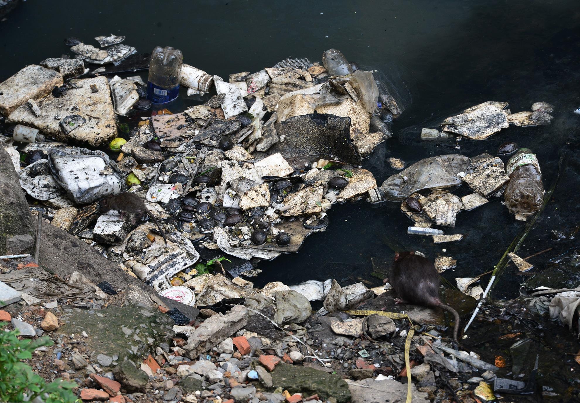 Rach Xuyen Tam TPHCM o nhiem anh 11