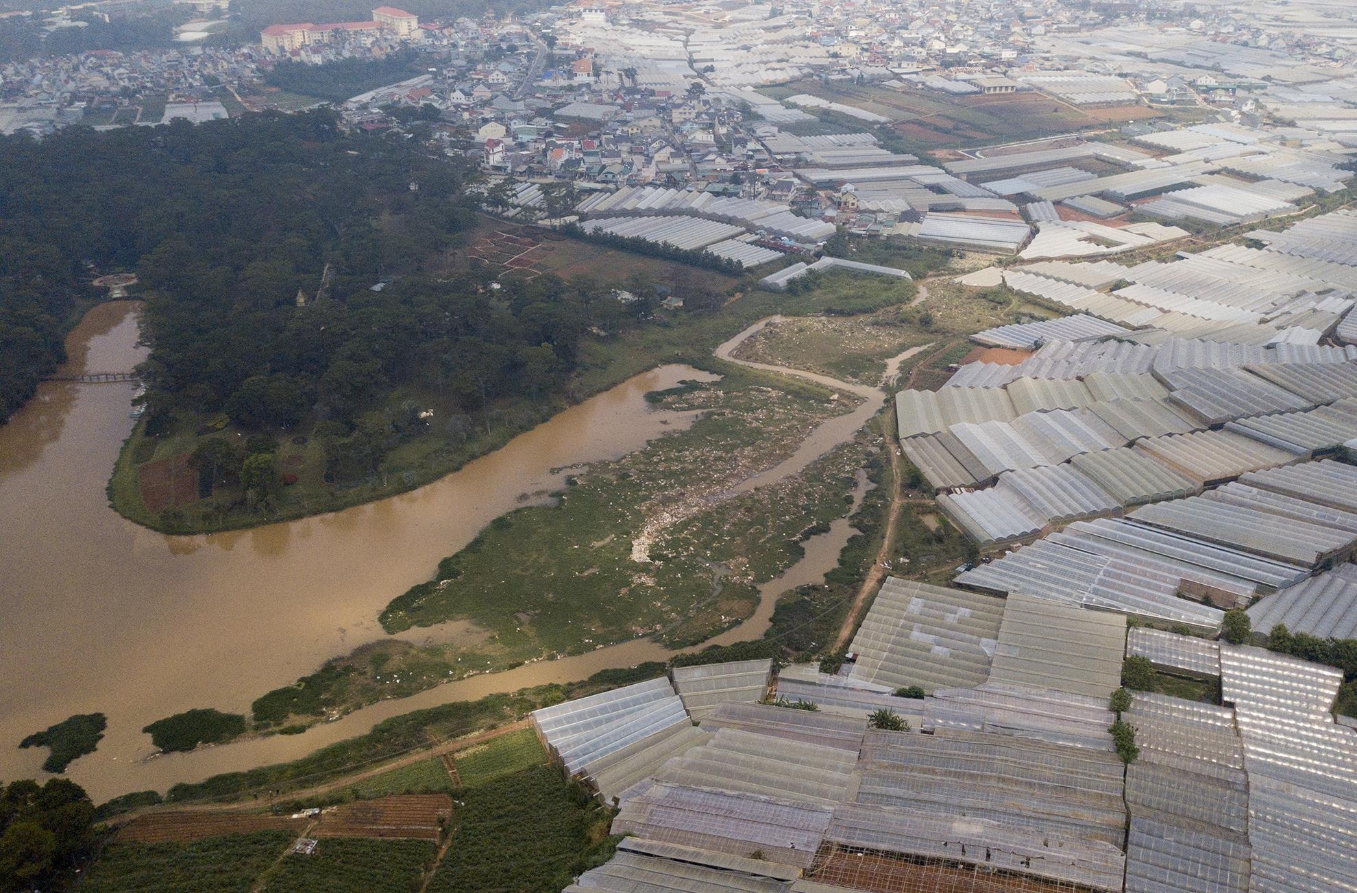 nha kinh trong rau bao vay TP Da Lat anh 10