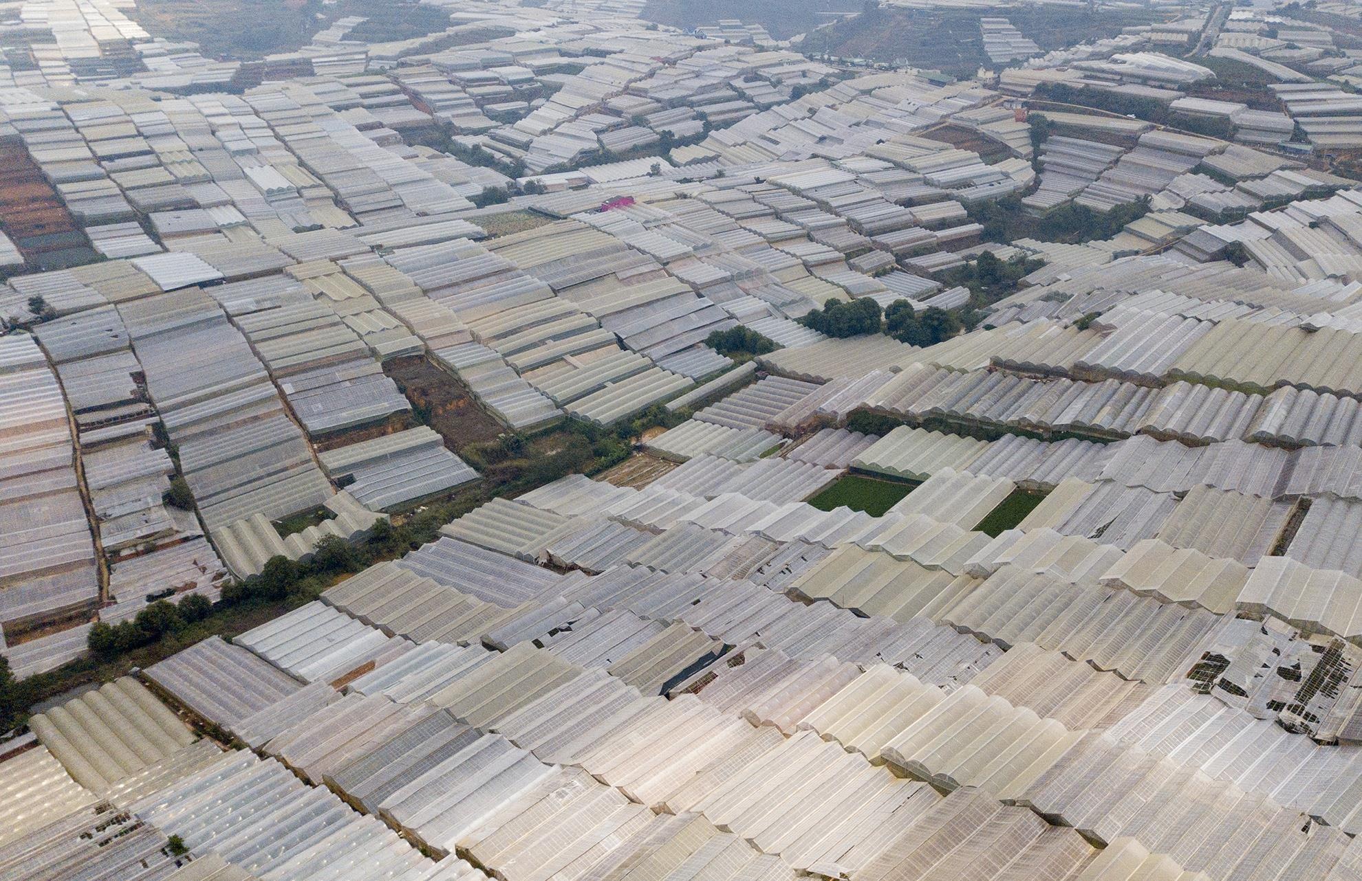 nha kinh trong rau bao vay TP Da Lat anh 14