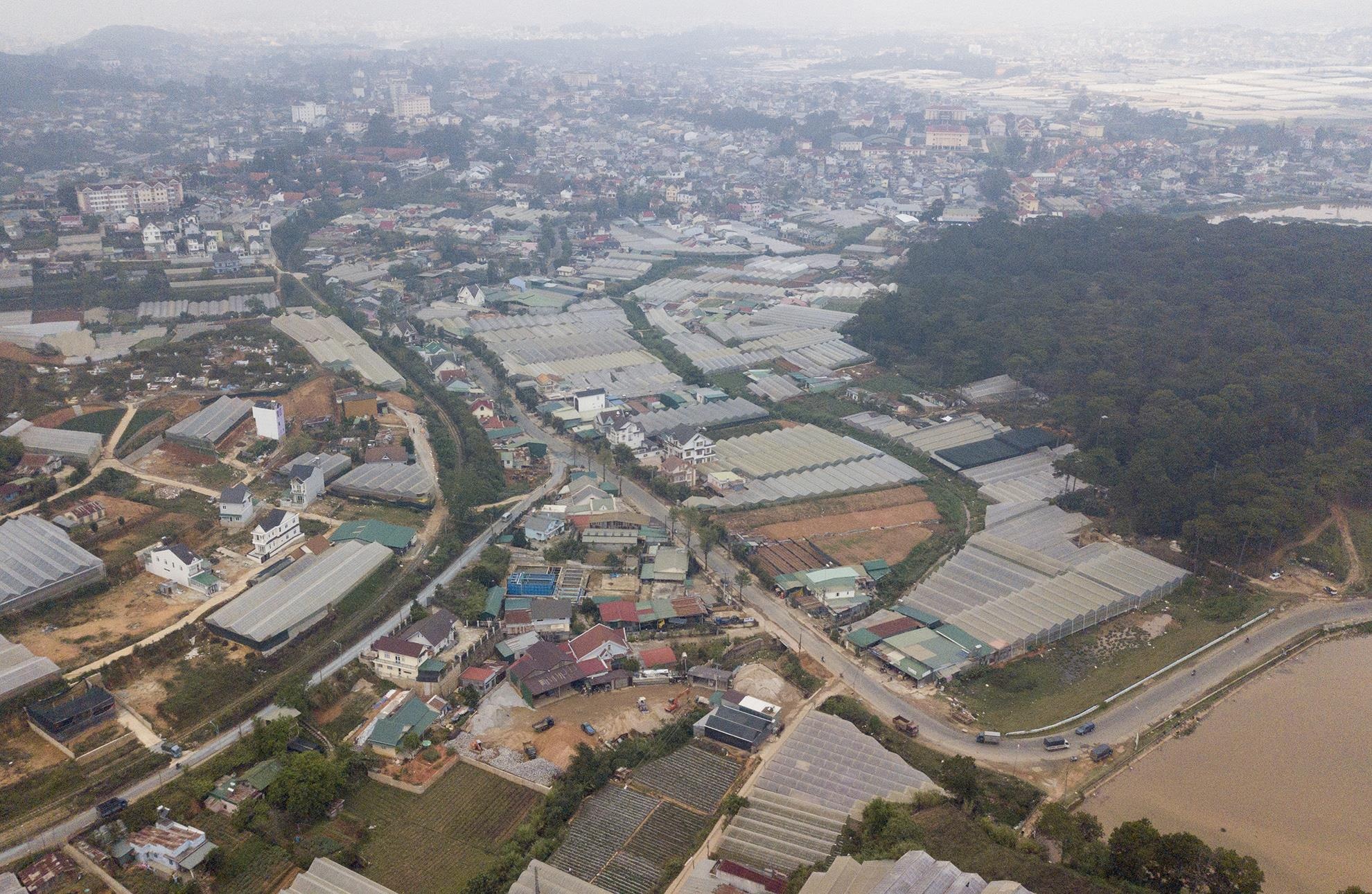 nha kinh trong rau bao vay TP Da Lat anh 6