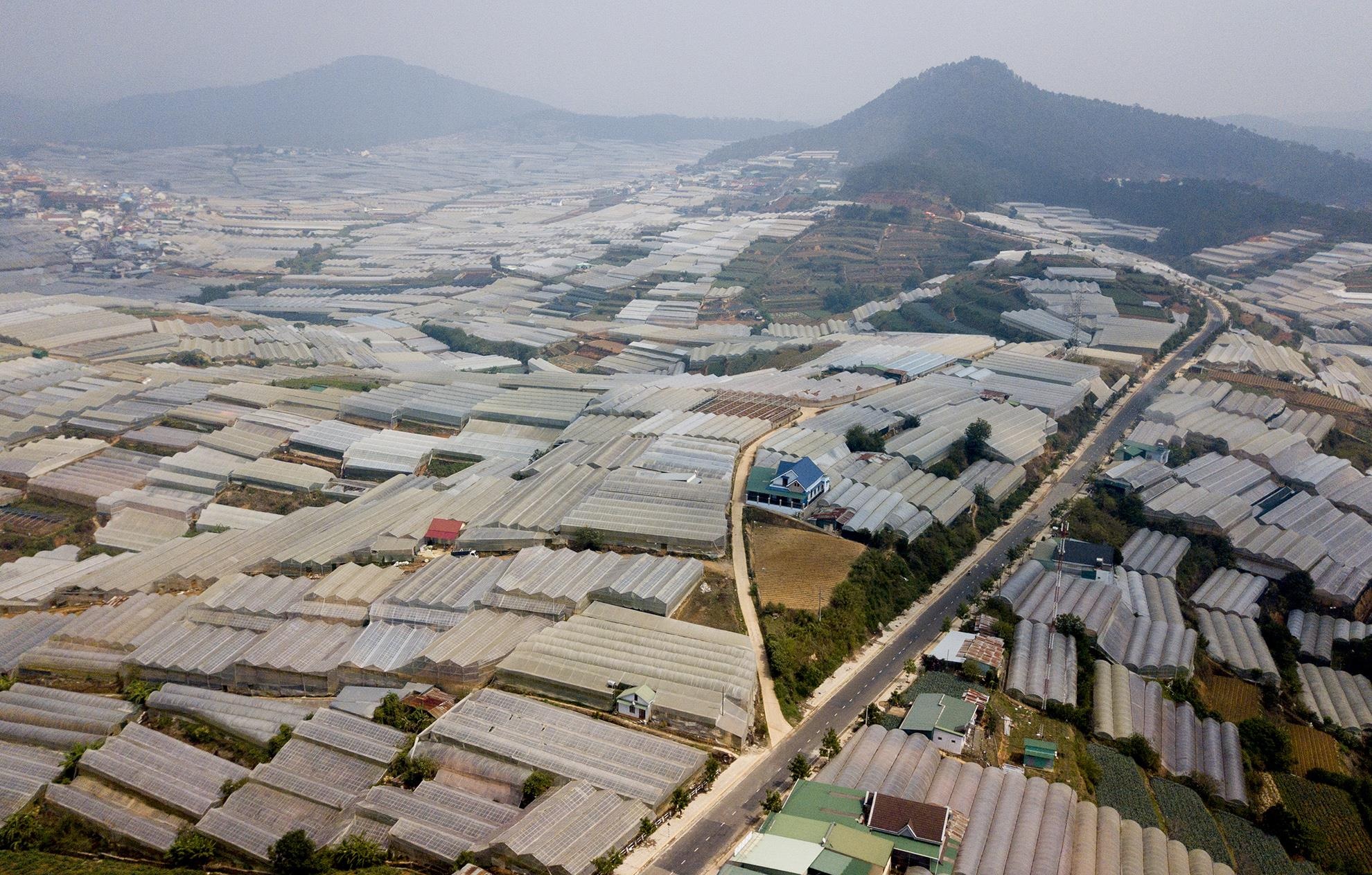 nha kinh trong rau bao vay TP Da Lat anh 2