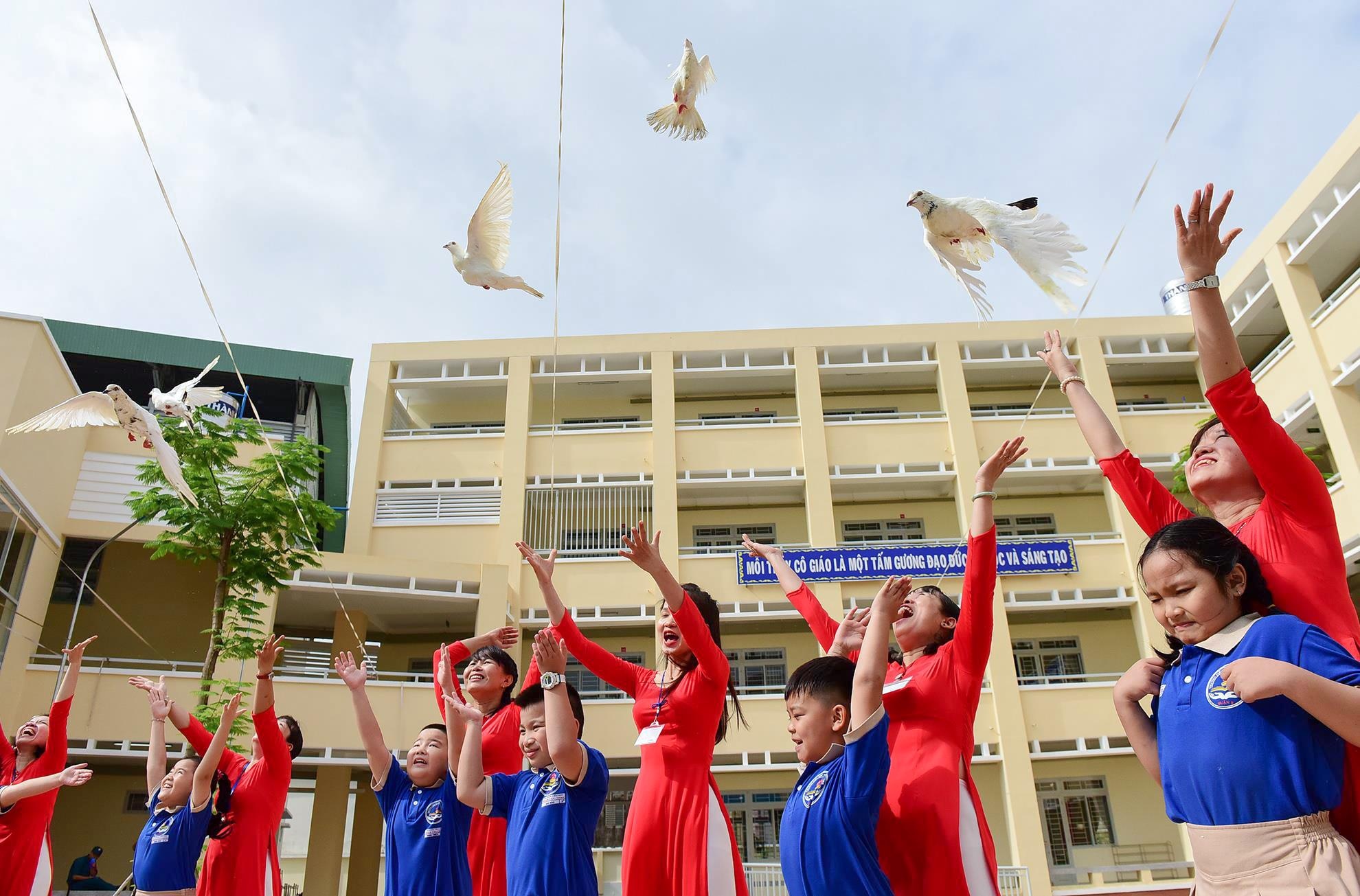 tha chim bo cau khai giang som anh 10