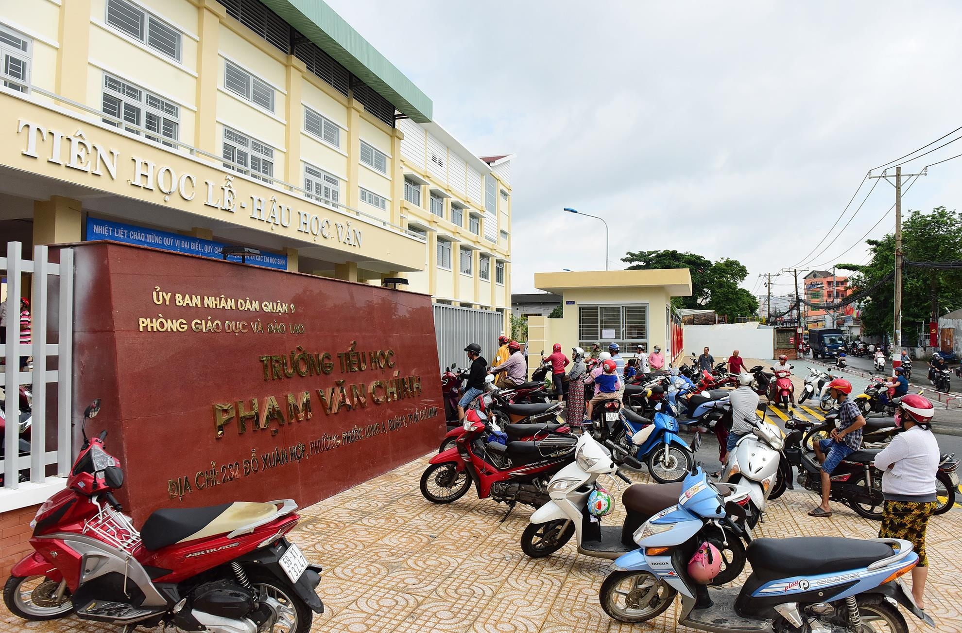 tha chim bo cau khai giang som anh 15