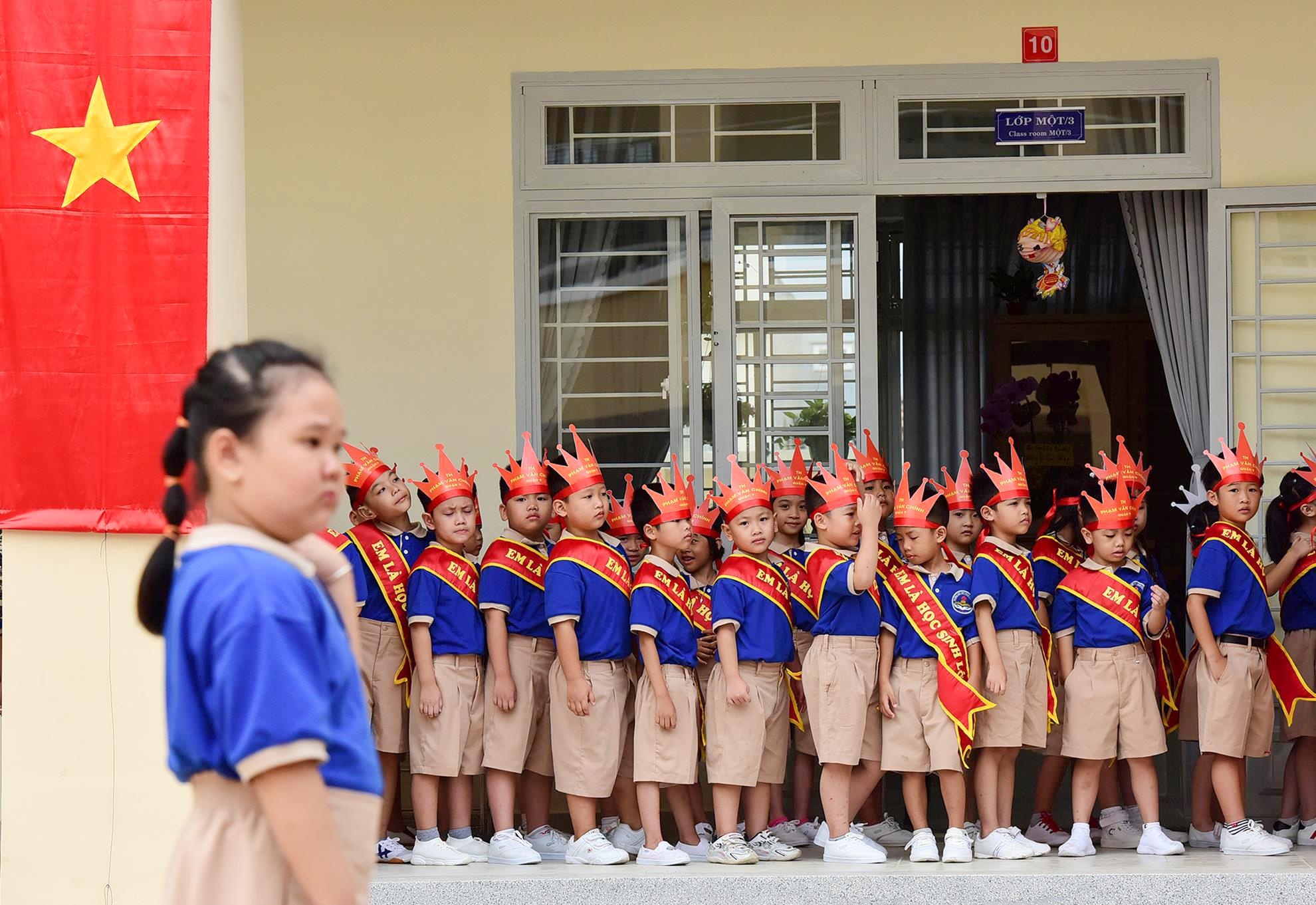 tha chim bo cau khai giang som anh 5