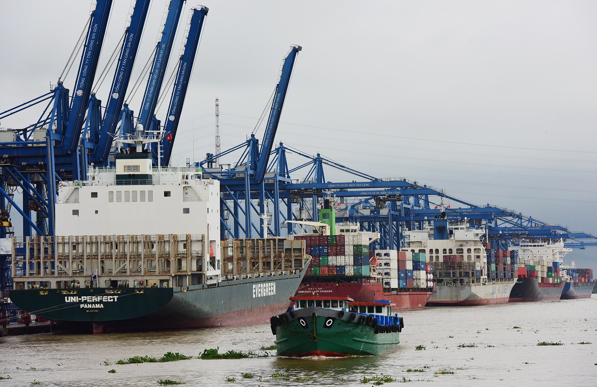 cang Cat Lai vuot cong suat so voi quy hoach anh 4