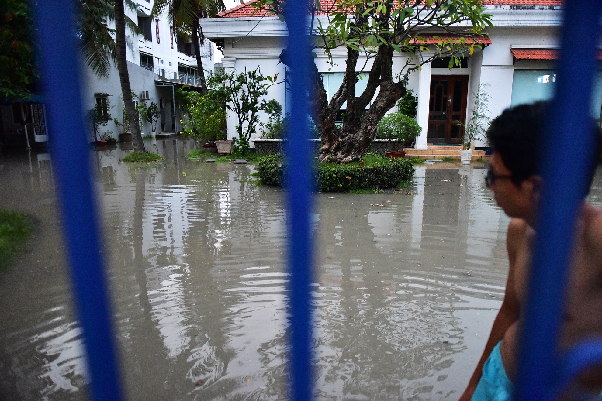 Khu nha giau Thao Dien lai menh mong nuoc vi ngap anh 11