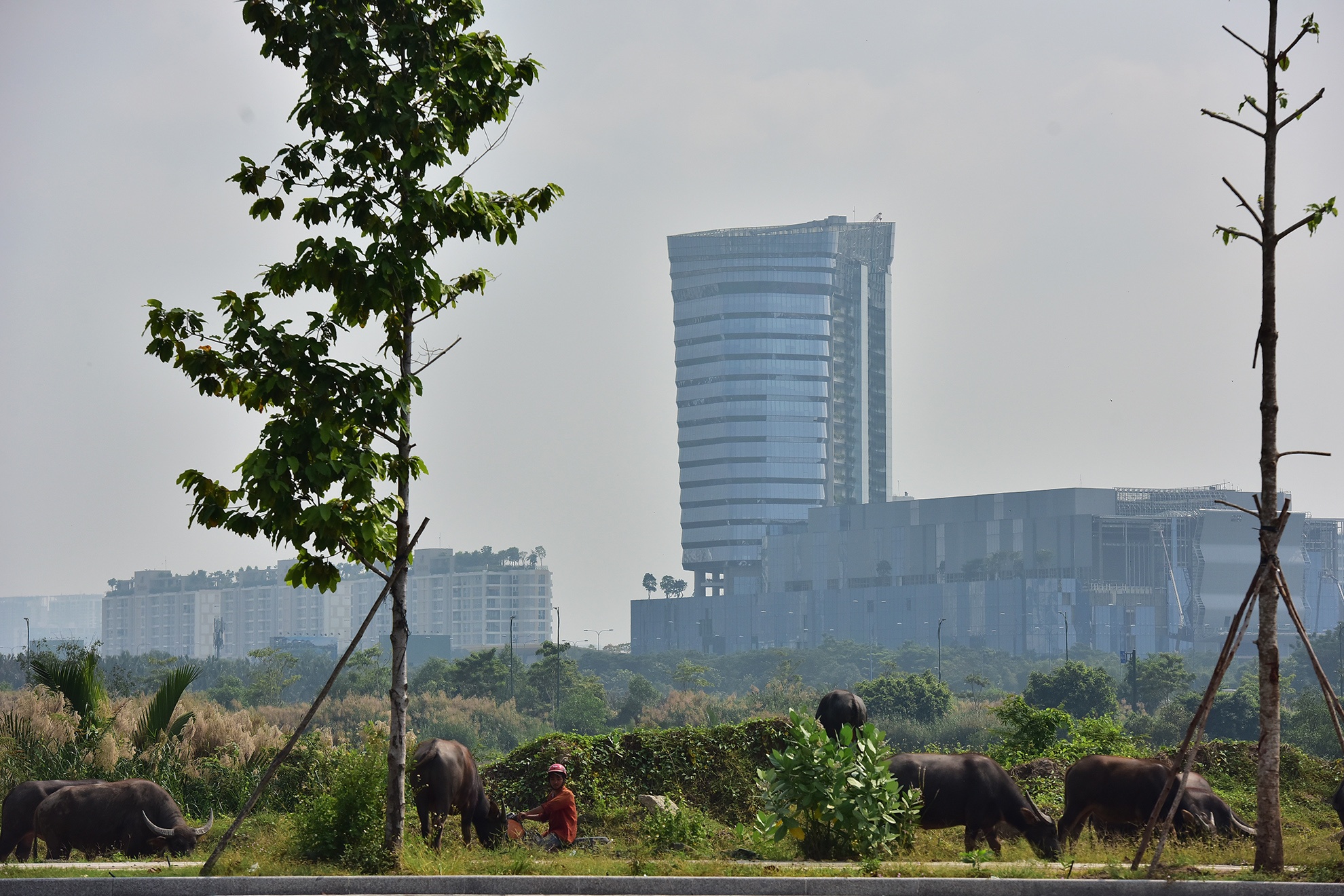 TP.HCM mit mu trong ngay o nhiem thu 4 the gioi anh 13