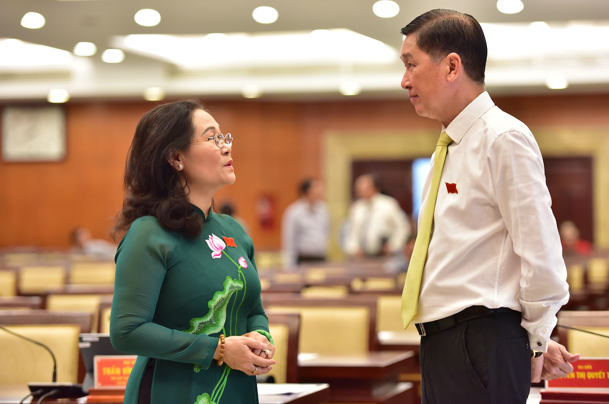 hoi dong nhan dan anh 2