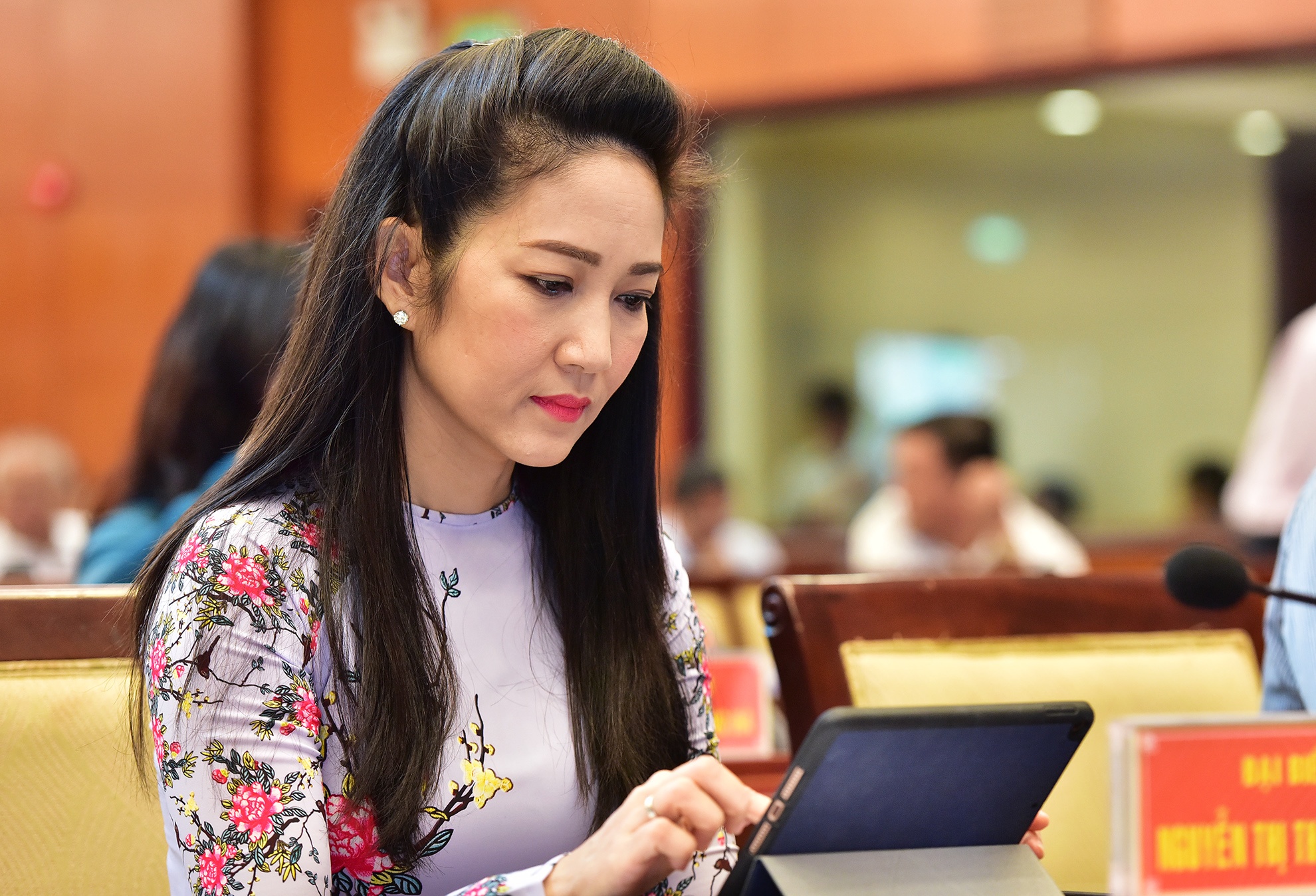 hoi dong nhan dan anh 7