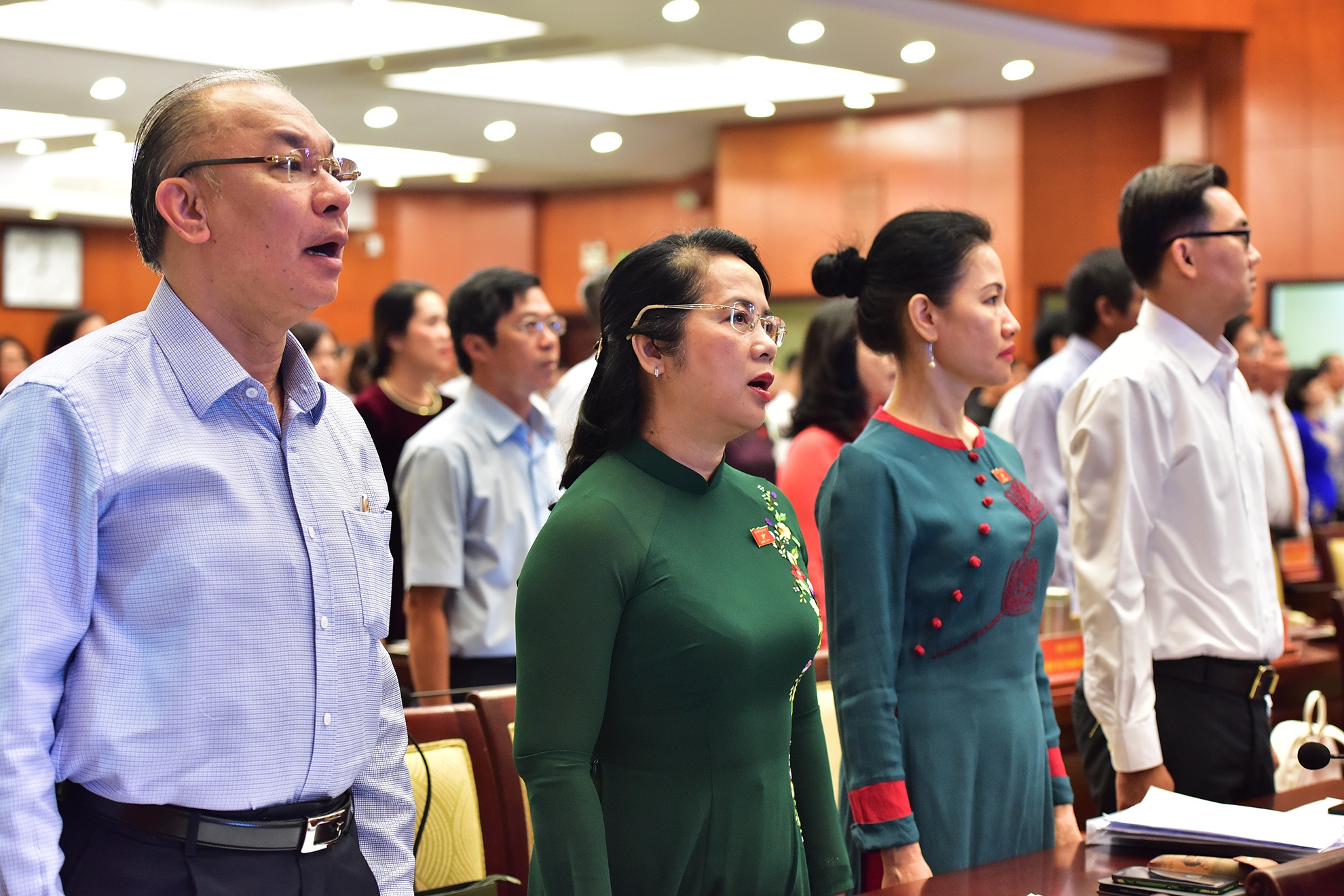 hoi dong nhan dan anh 8