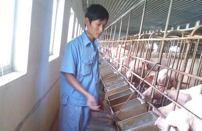 Nong trong ngay: Chang trai kiem 9 ty moi nam hinh anh