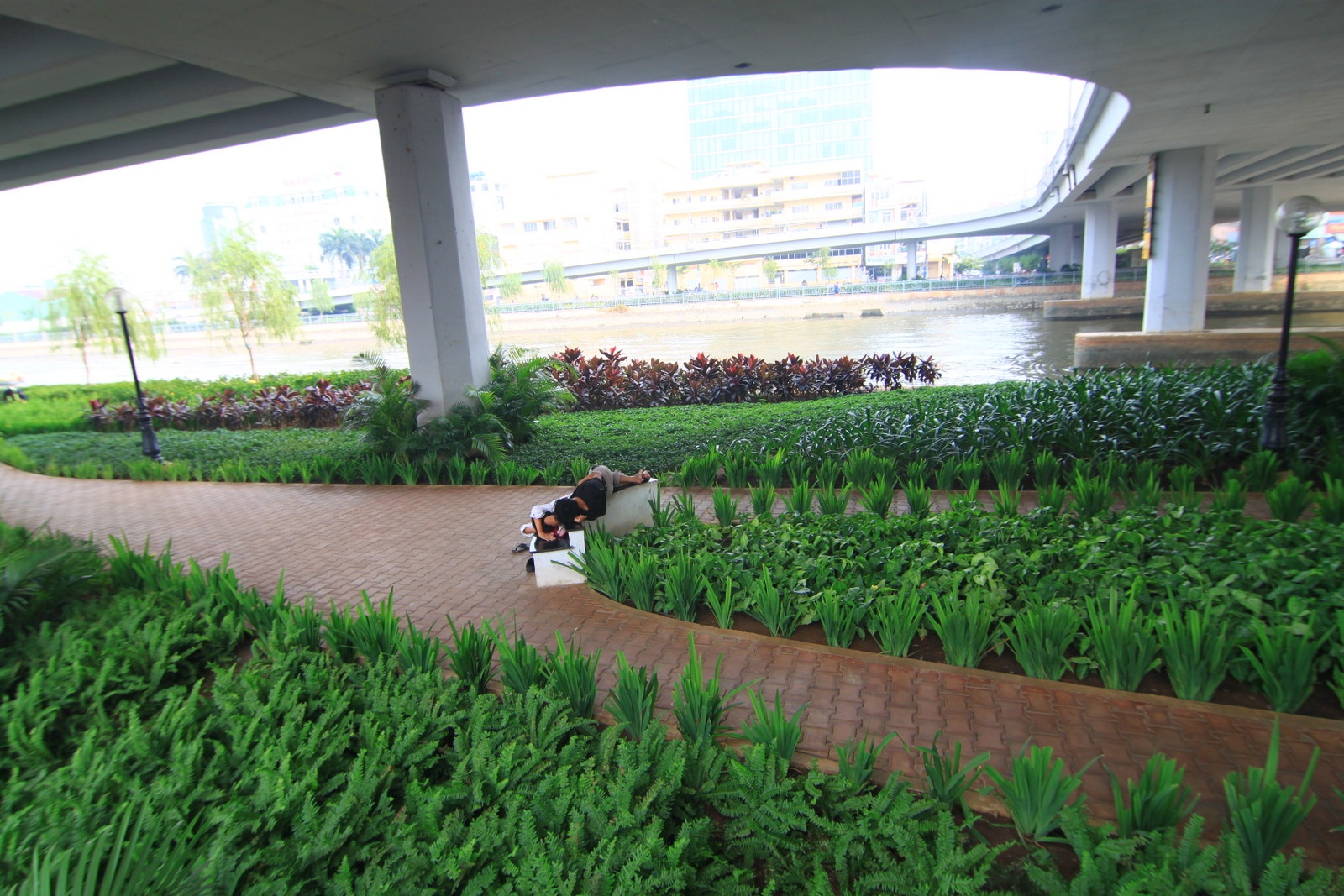 Nhung cong vien xanh tuoi duoi da cau o Sai Gon hinh anh