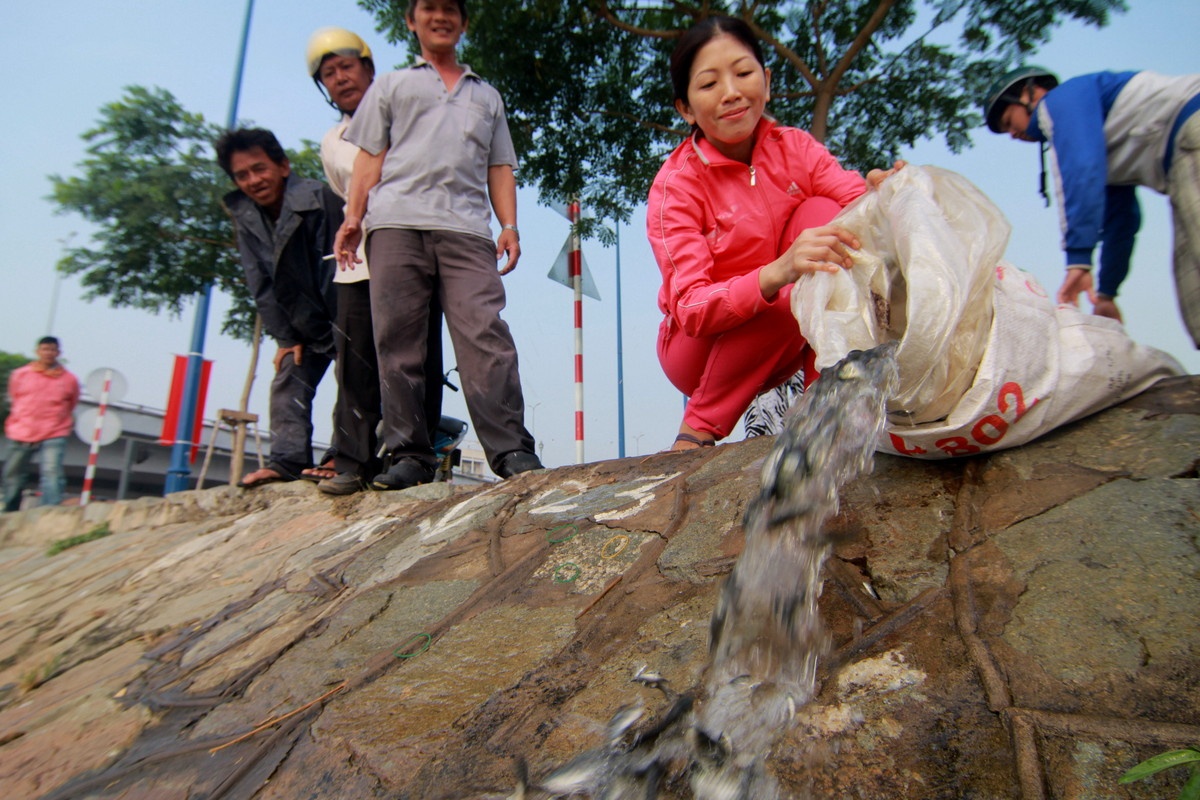 Tha ca can ca giong de tien ong Tao o Sai Gon hinh anh