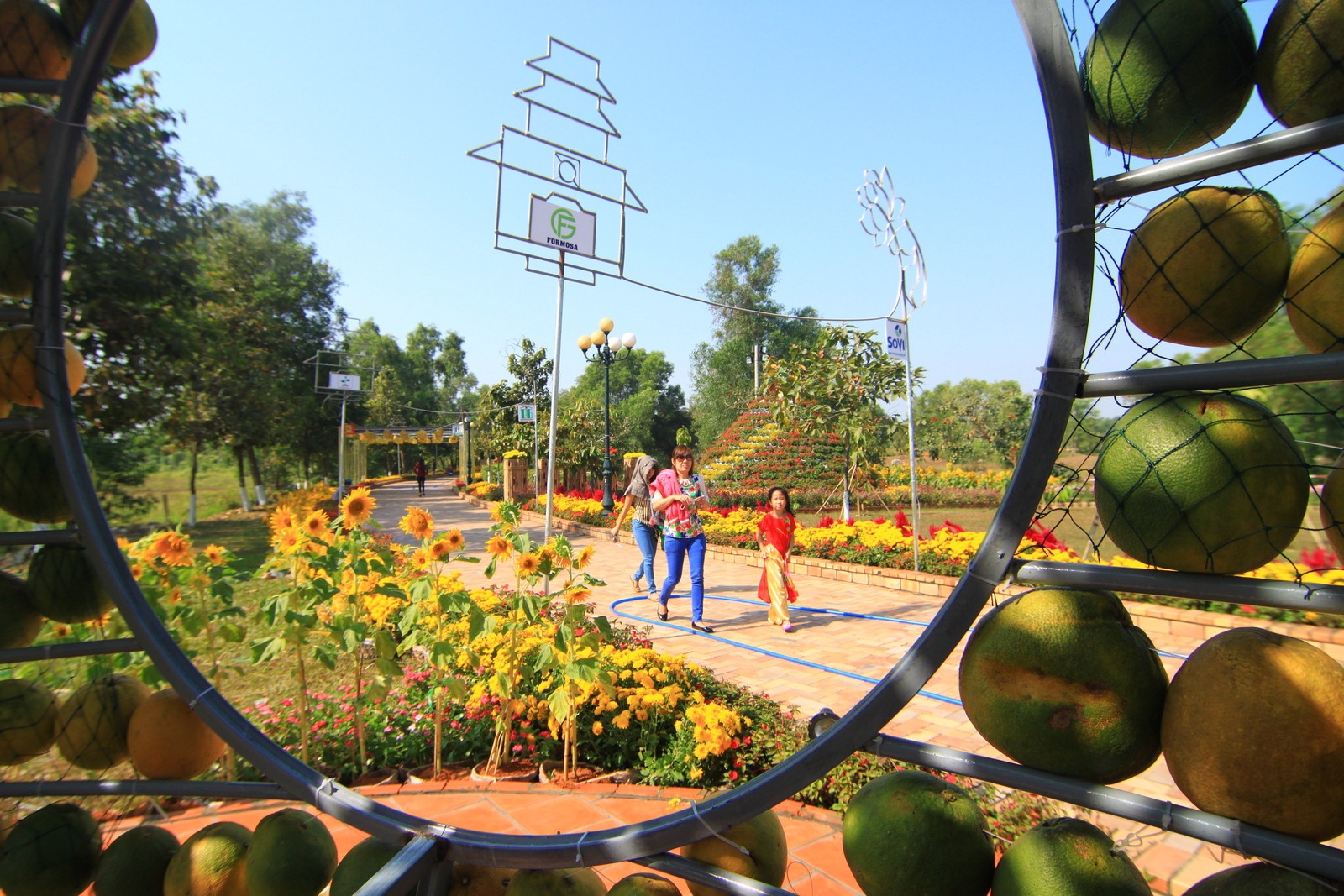 WiFi mien phi o duong hoa 10 ty hinh anh