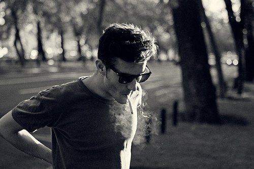 5 dieu trai ngoan thua xa trai hu hinh anh