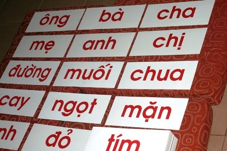 Trong ảnh là minh họa cho việc đưa flashcard cho trẻ từ 6 tháng, mỗi lần 5 giây, mỗi ngày vài lần.