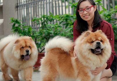 Co gai Viet co trai cho gia ngan do/con hinh anh