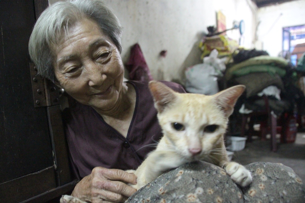 Cu ba 80 tuoi cuu mang 50 con meo hoang o Sai Gon hinh anh