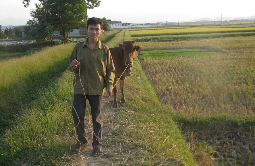 Sau giờ học, Cường phụ gia đình việc đồng áng.