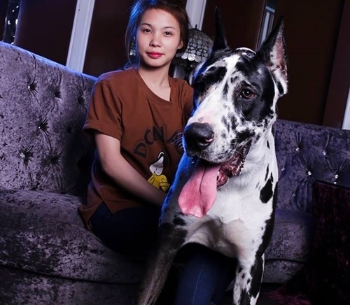 Chuyen nu sinh nuoi thu cung doc hinh anh