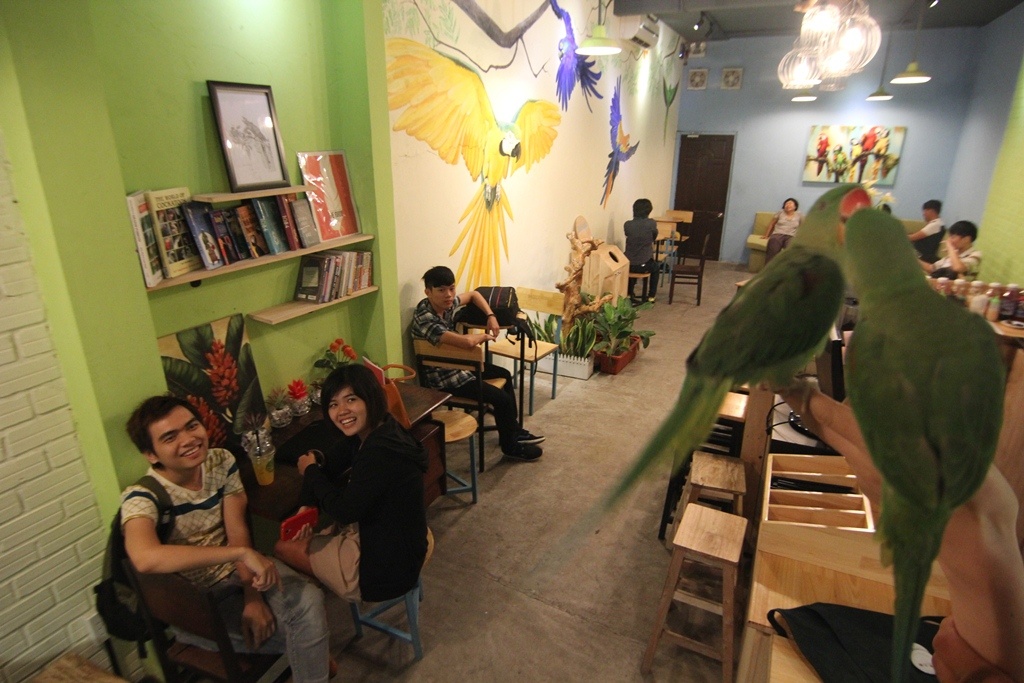 Hình thức cà phê có động vật không còn xa lạ với giới trẻ Sài Gòn. Nhiều quán quen thuộc như cà phê với chó, mèo, bò sát… Một địa điểm mới xuất hiện, tiếp tục thu hút giới trẻ khi có những con vẹt, con cú nhiều màu sắc trong quán để bạn trẻ vừa thưởng thức các món nước uống vừa nô đùa với vẹt..